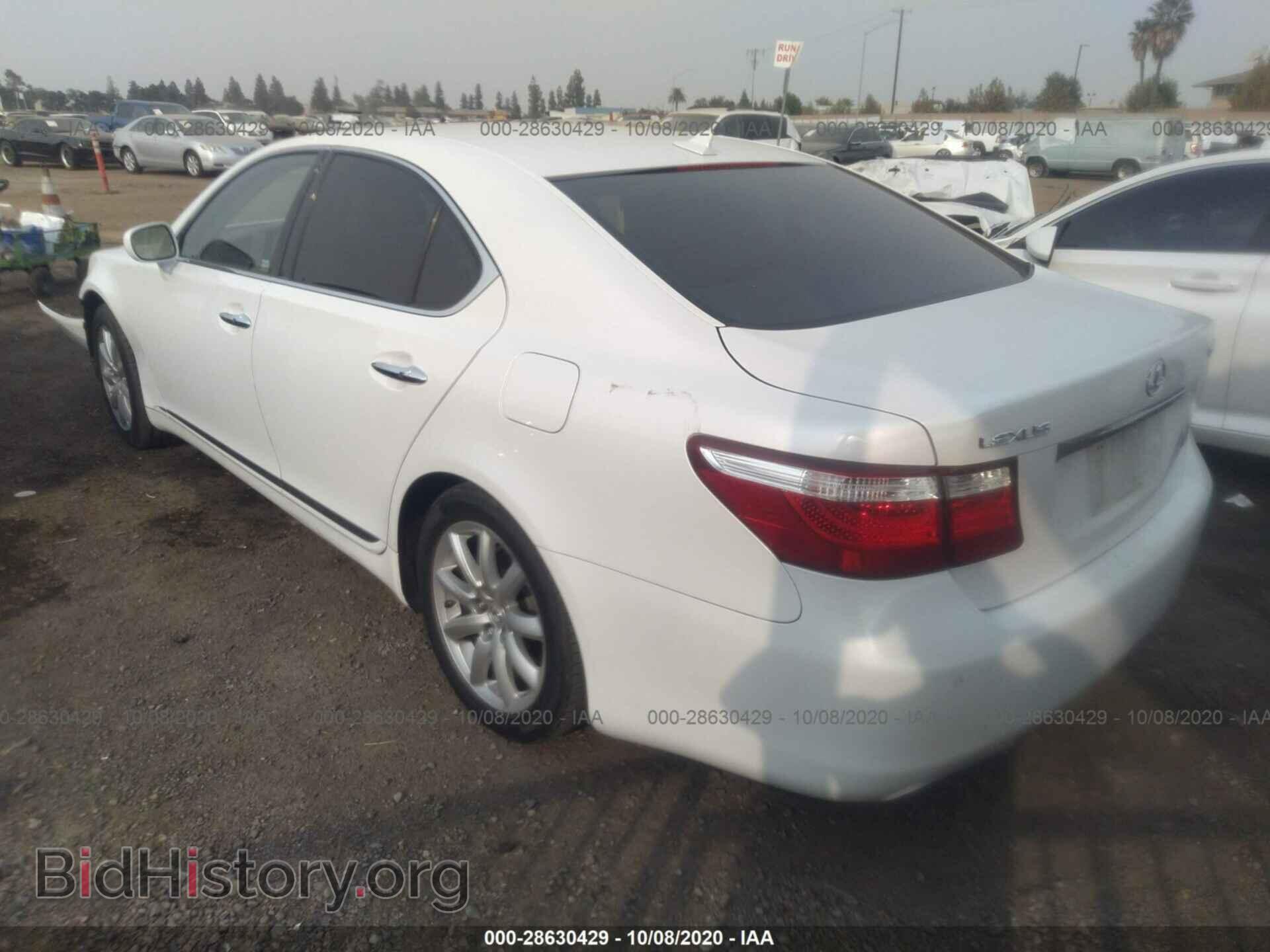 2007 LEXUS LS 460 - VIN: JTHBL46F575043747 - Фото 3