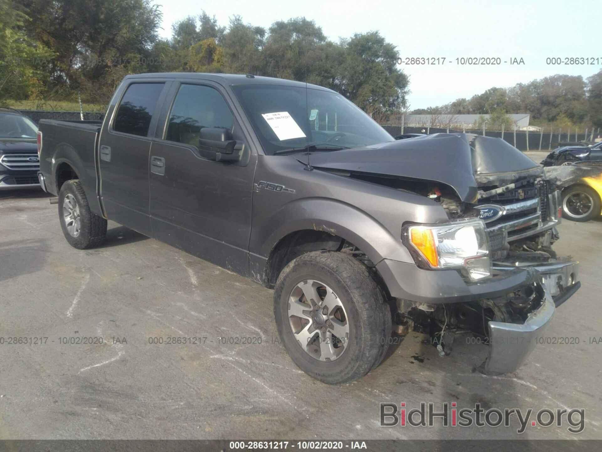 Photo 1FTEW1E86AFC86945 - FORD F-150 2010