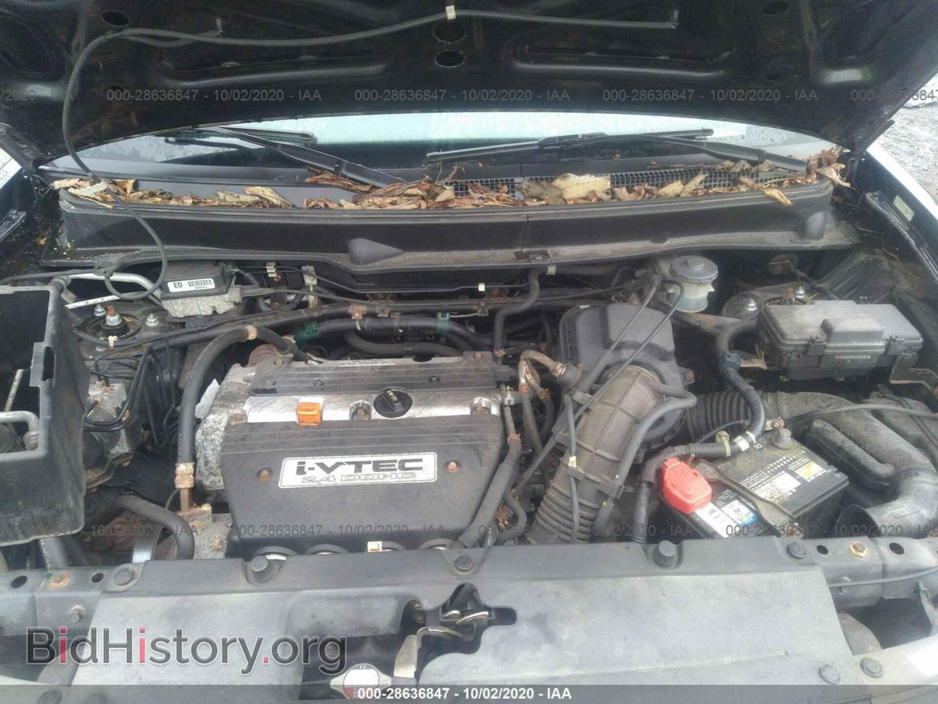 2003 HONDA ELEMENT - VIN: 5J6YH28543L002130 - Фото 10