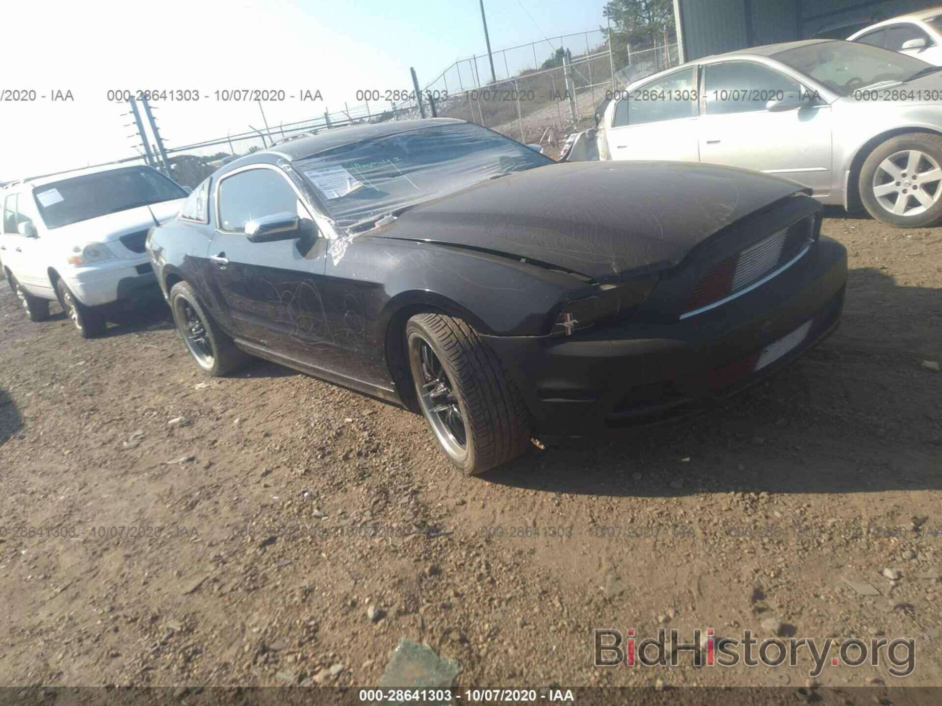 Photo 1ZVBP8AM0E5324299 - FORD MUSTANG 2014
