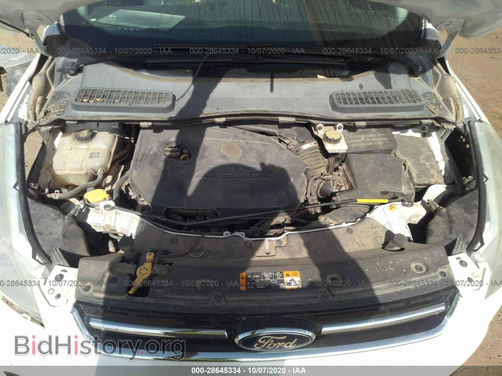 2013 FORD ESCAPE - VIN: 1FMCU0HX8DUA81519 - Photo 10