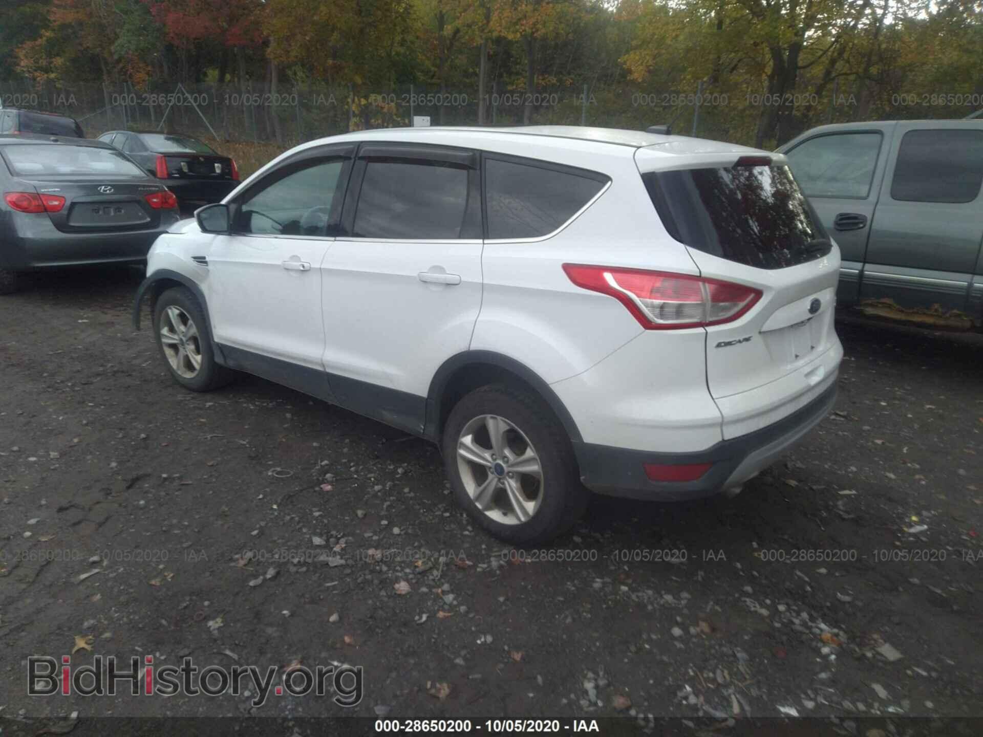 2014 FORD ESCAPE - VIN: 1FMCU9G99EUA14890 - Фото 3