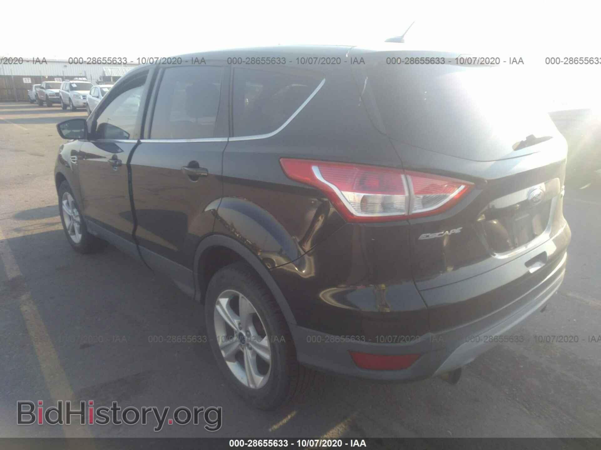 2013 FORD ESCAPE - VIN: 1FMCU9G92DUA14499 - Photo 3