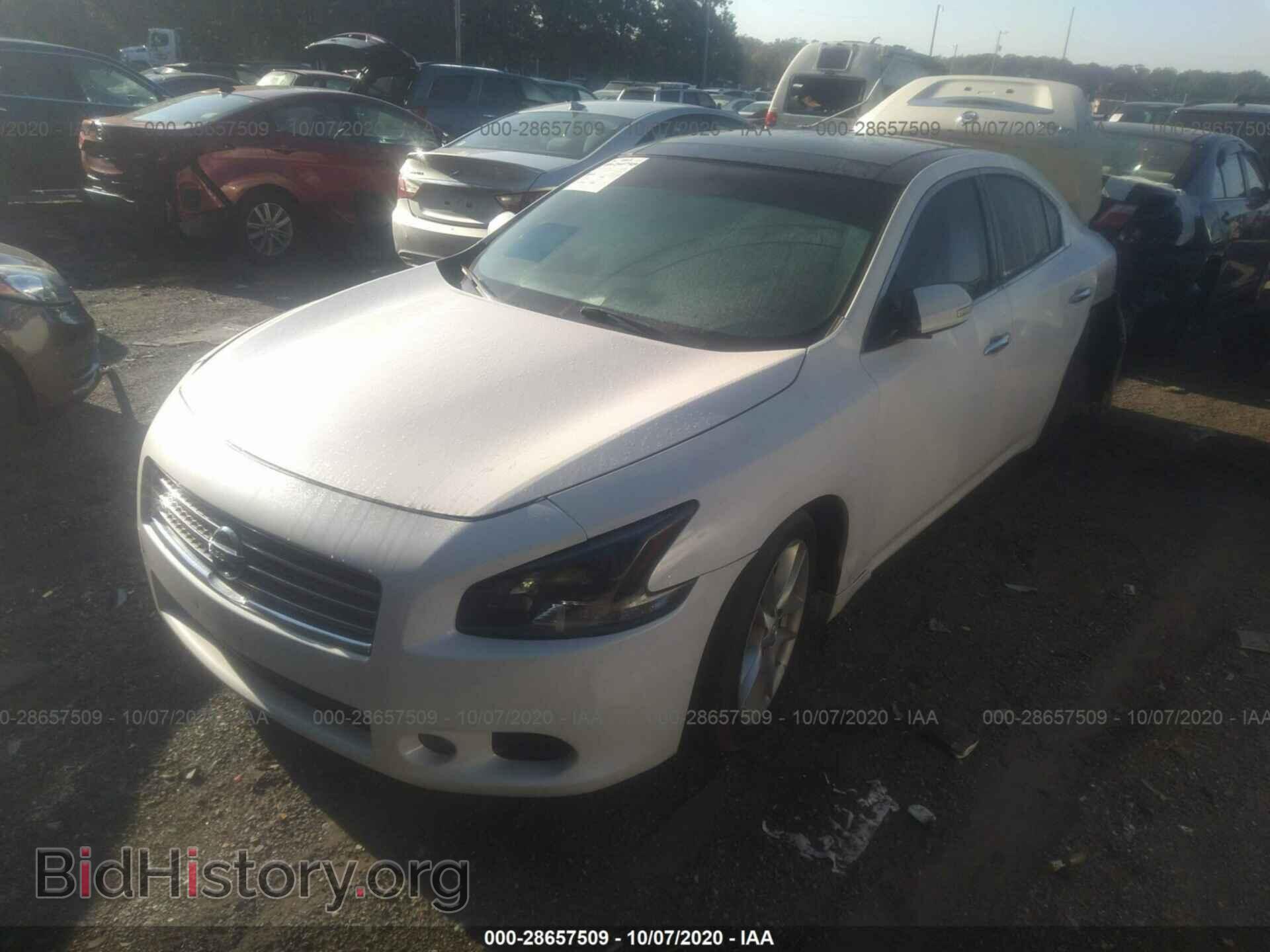 2011 NISSAN MAXIMA - VIN: 1N4AA5AP2BC843845 - Фото 2