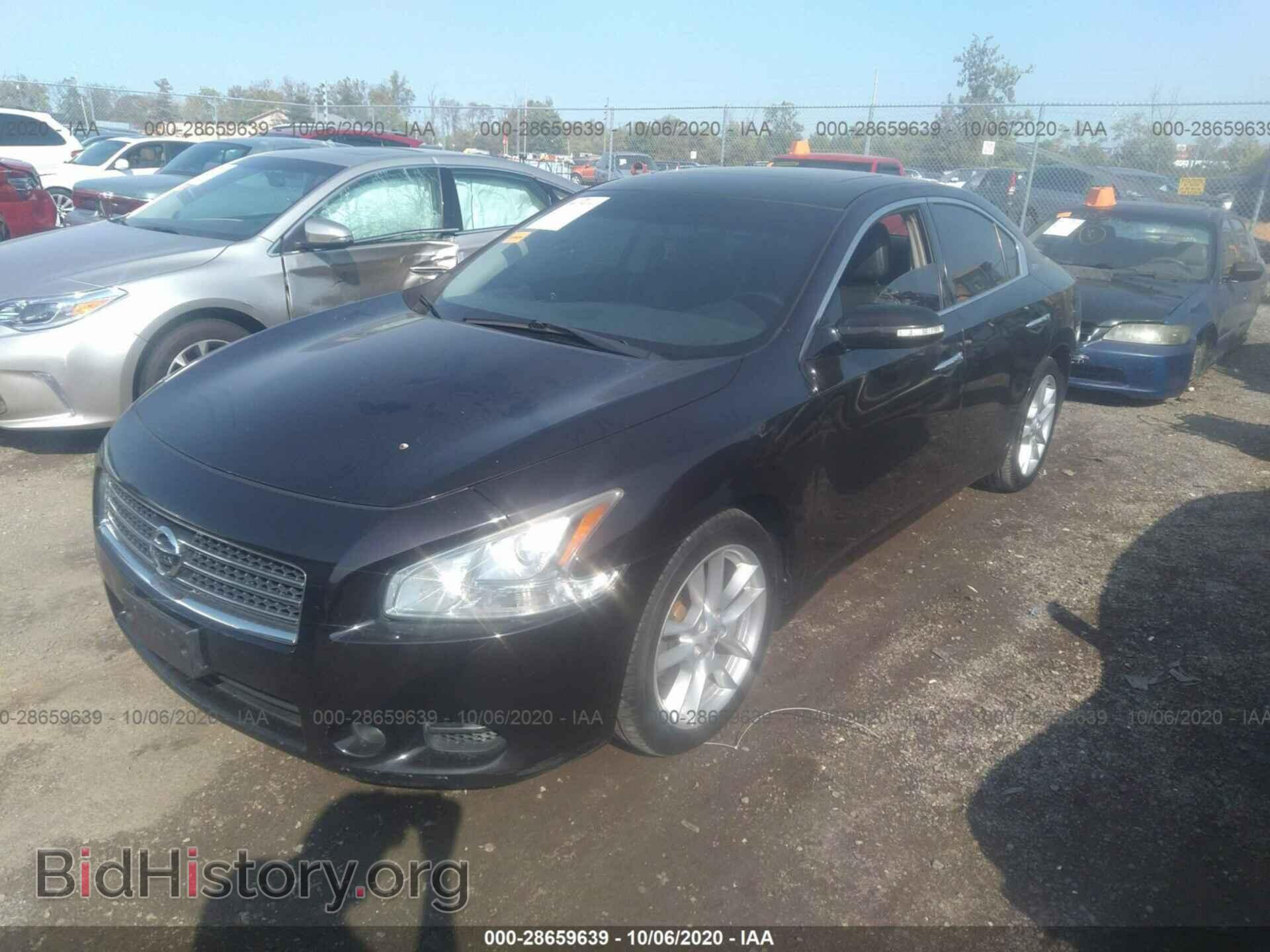 2010 NISSAN MAXIMA - VIN: 1N4AA5AP8AC873656 - Фото 2