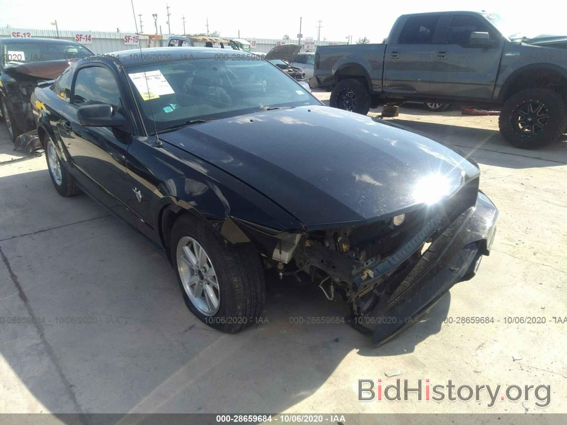 Photo 1ZVHT80N195117488 - FORD MUSTANG 2009