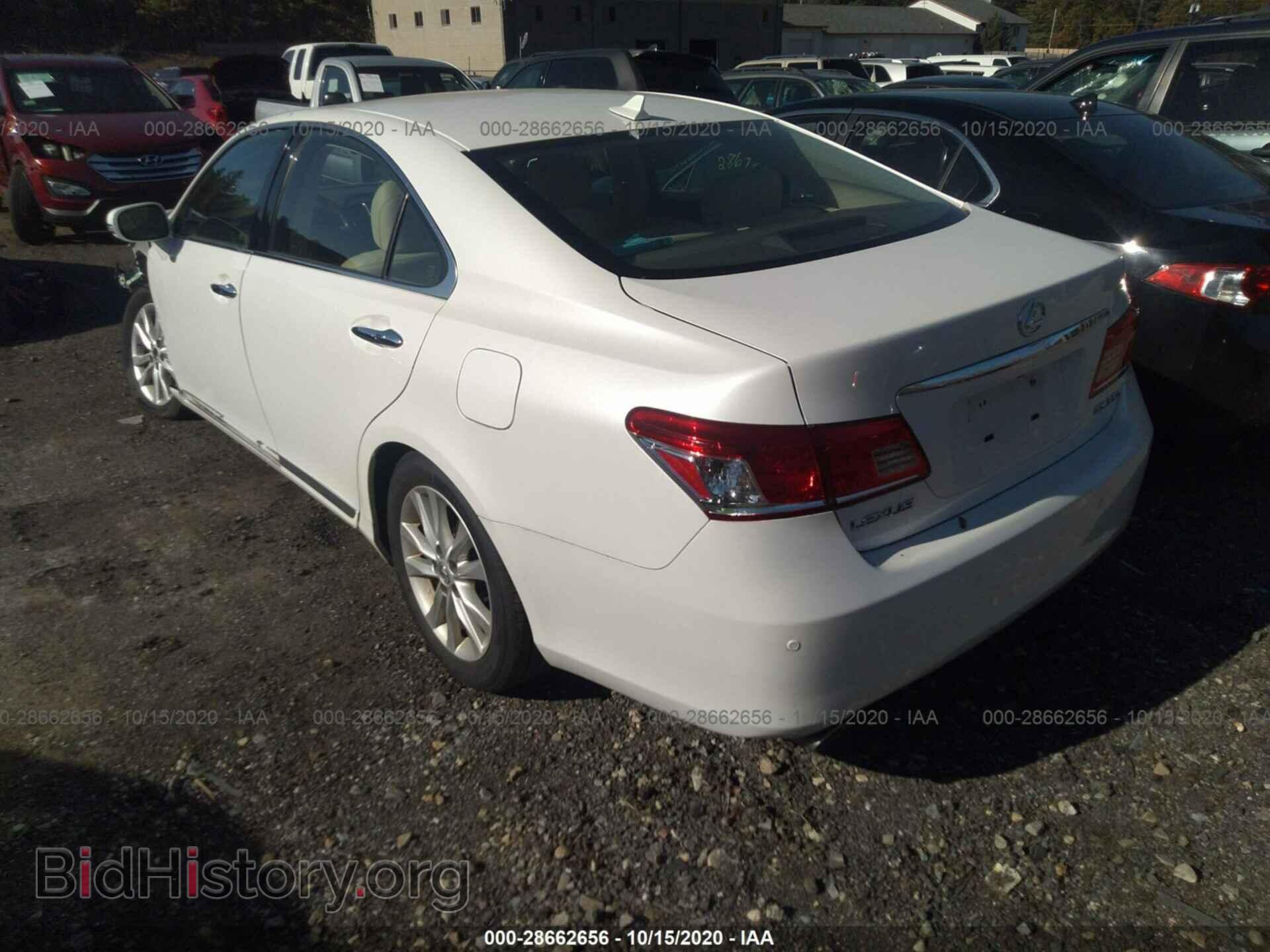 2010 LEXUS ES 350 - VIN: JTHBK1EG6A2365351 - Фото 3