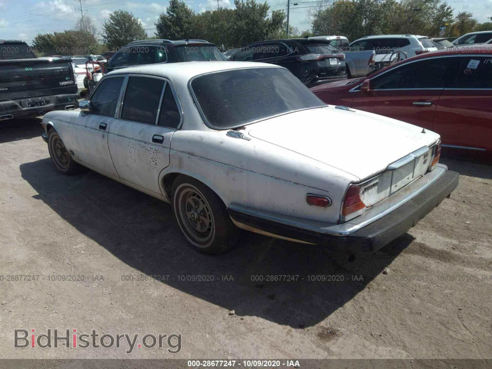 1982 JAGUAR XJ6 - VIN: SAJAV1344CC330710 - Фото 3