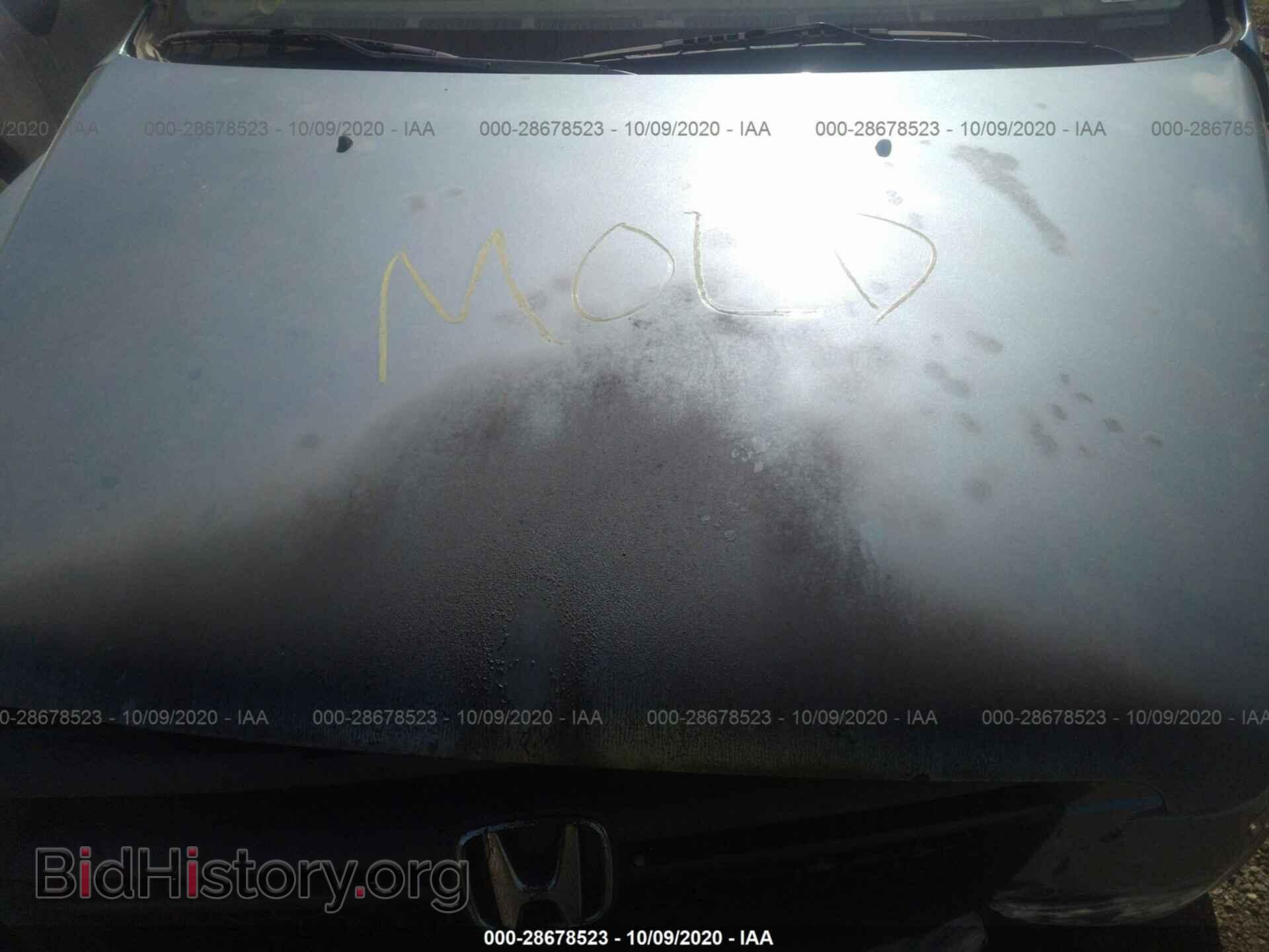 2005 HONDA PILOT - VIN: 2HKYF18125H557586 - Фото 10