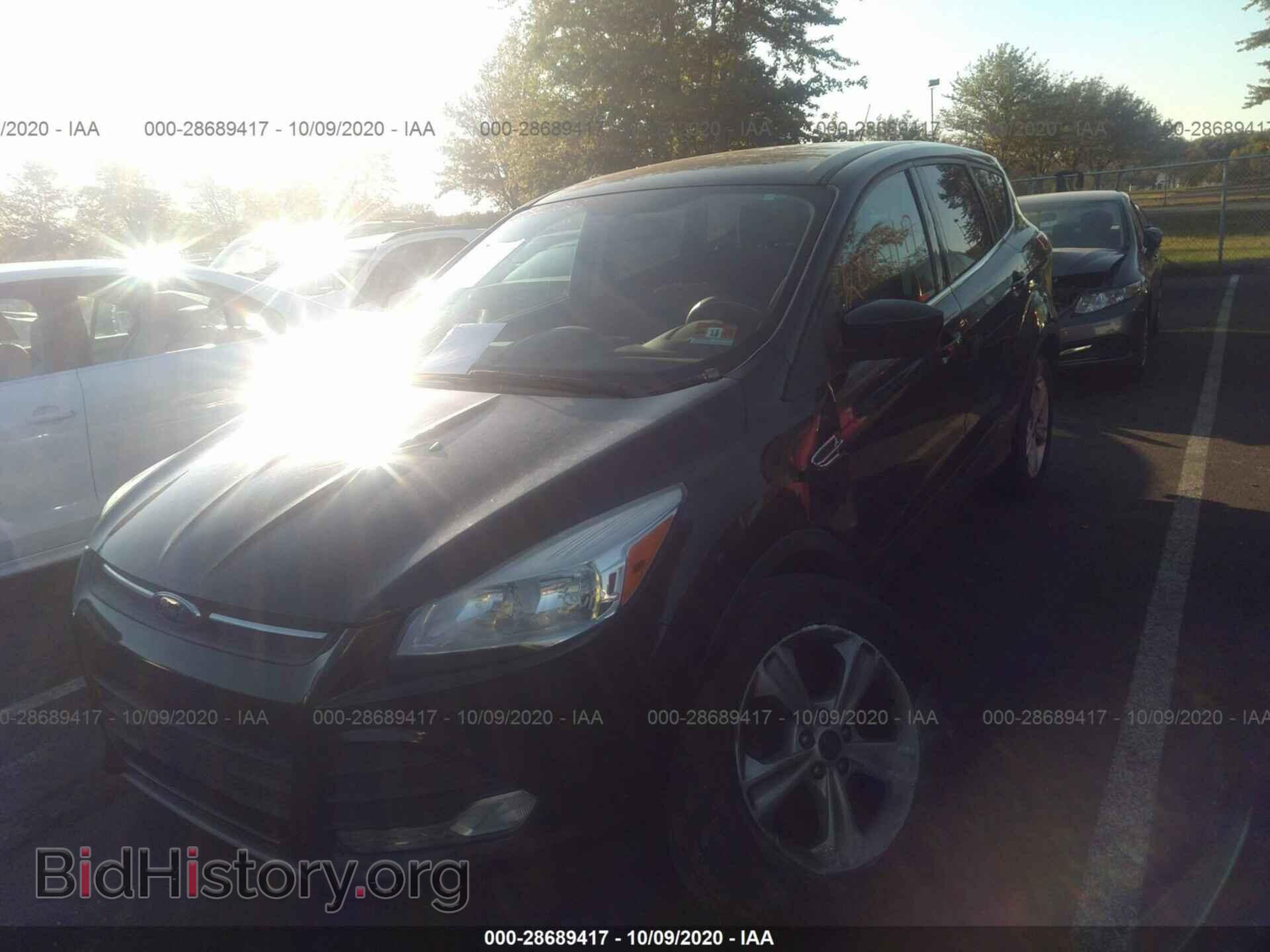 2014 FORD ESCAPE - VIN: 1FMCU0GX5EUB53389 - Фото 2