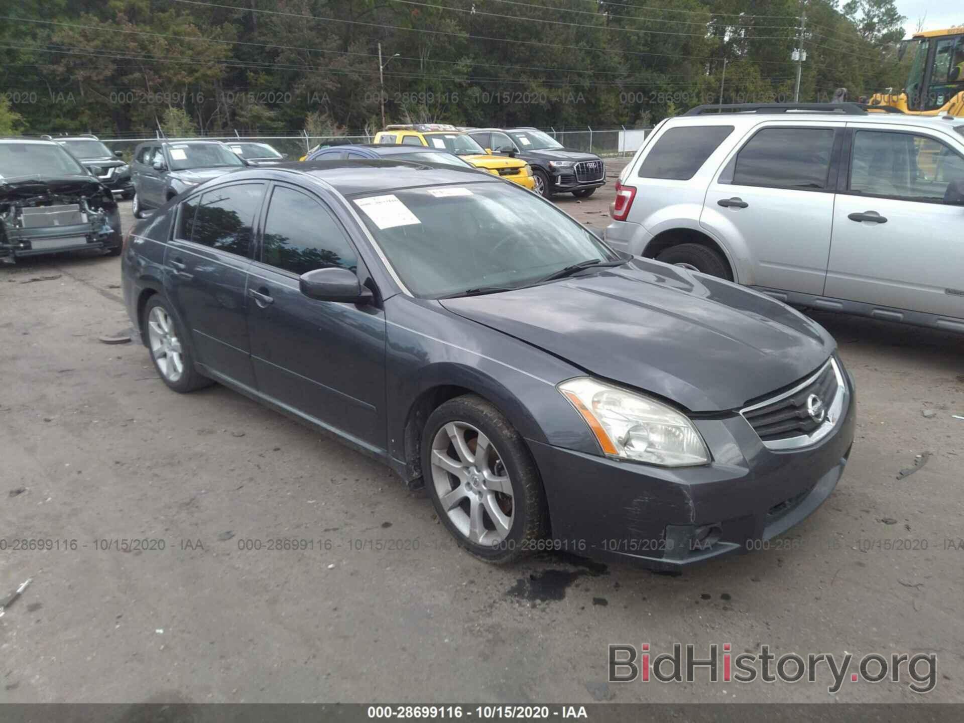 Photo 1N4BA41E18C807912 - NISSAN MAXIMA 2008