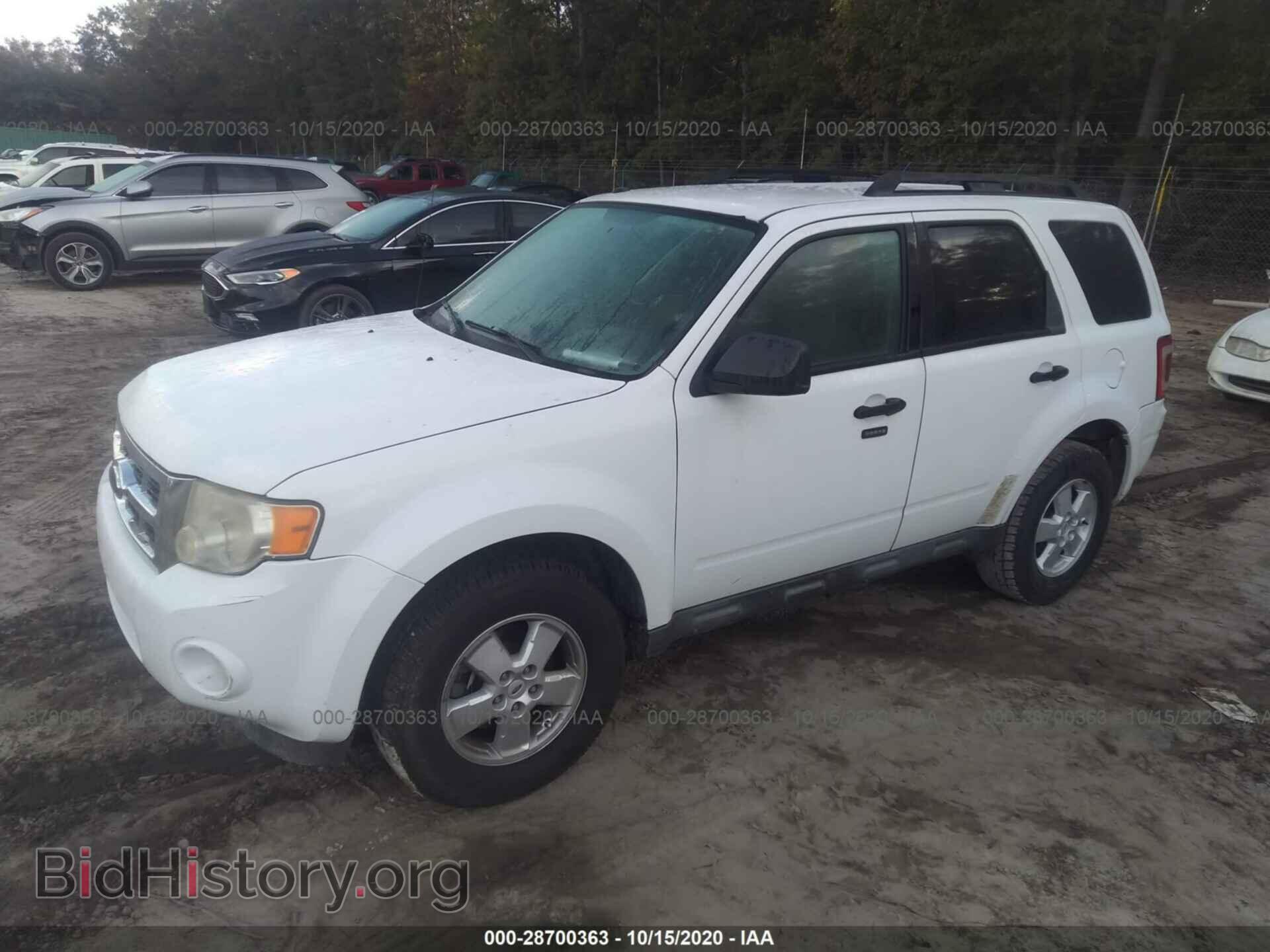 2009 FORD ESCAPE - VIN: 1FMCU03G19KA62353 - Фото 2