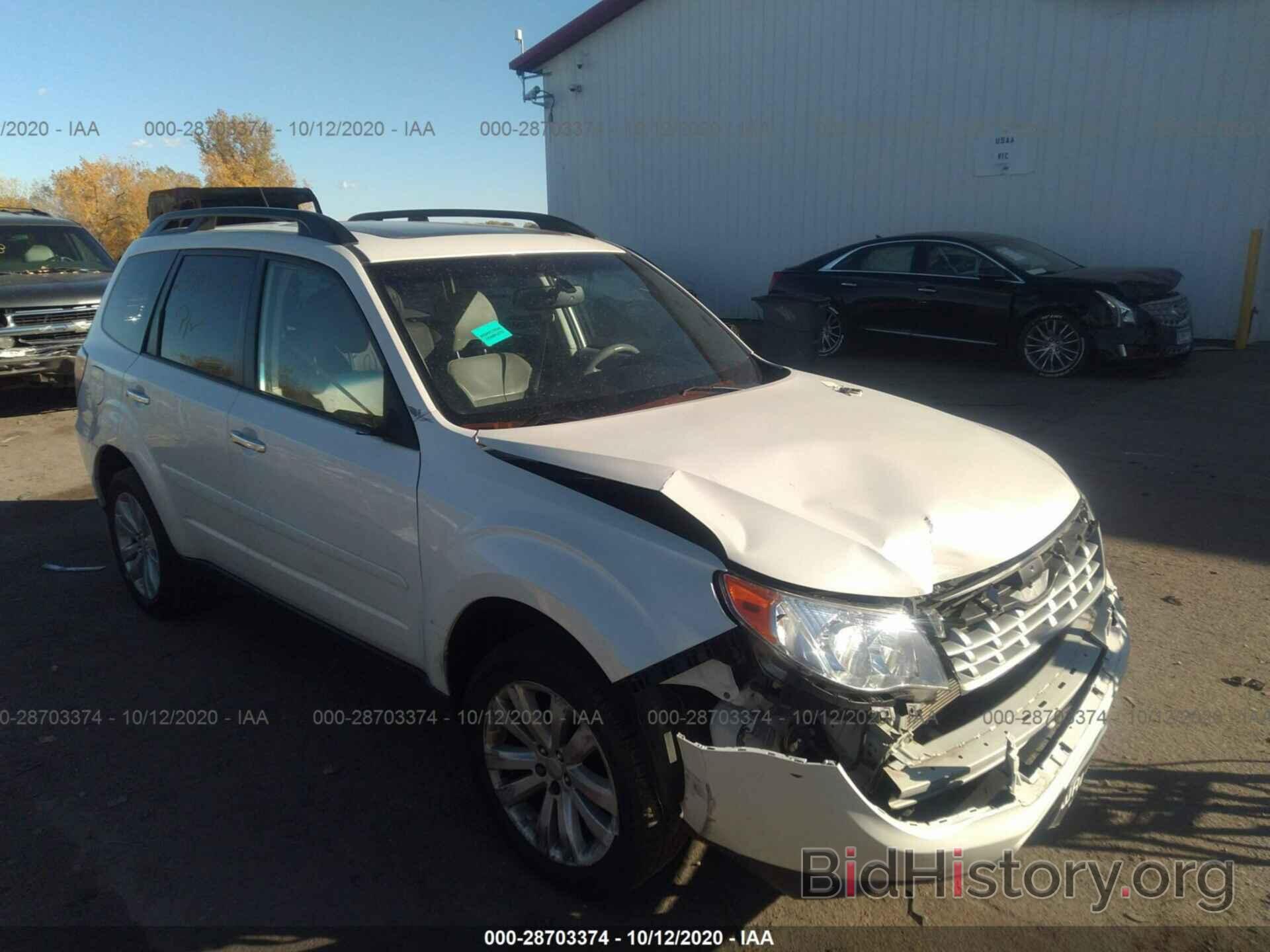 Photo JF2SHAEC2BH775769 - SUBARU FORESTER 2011