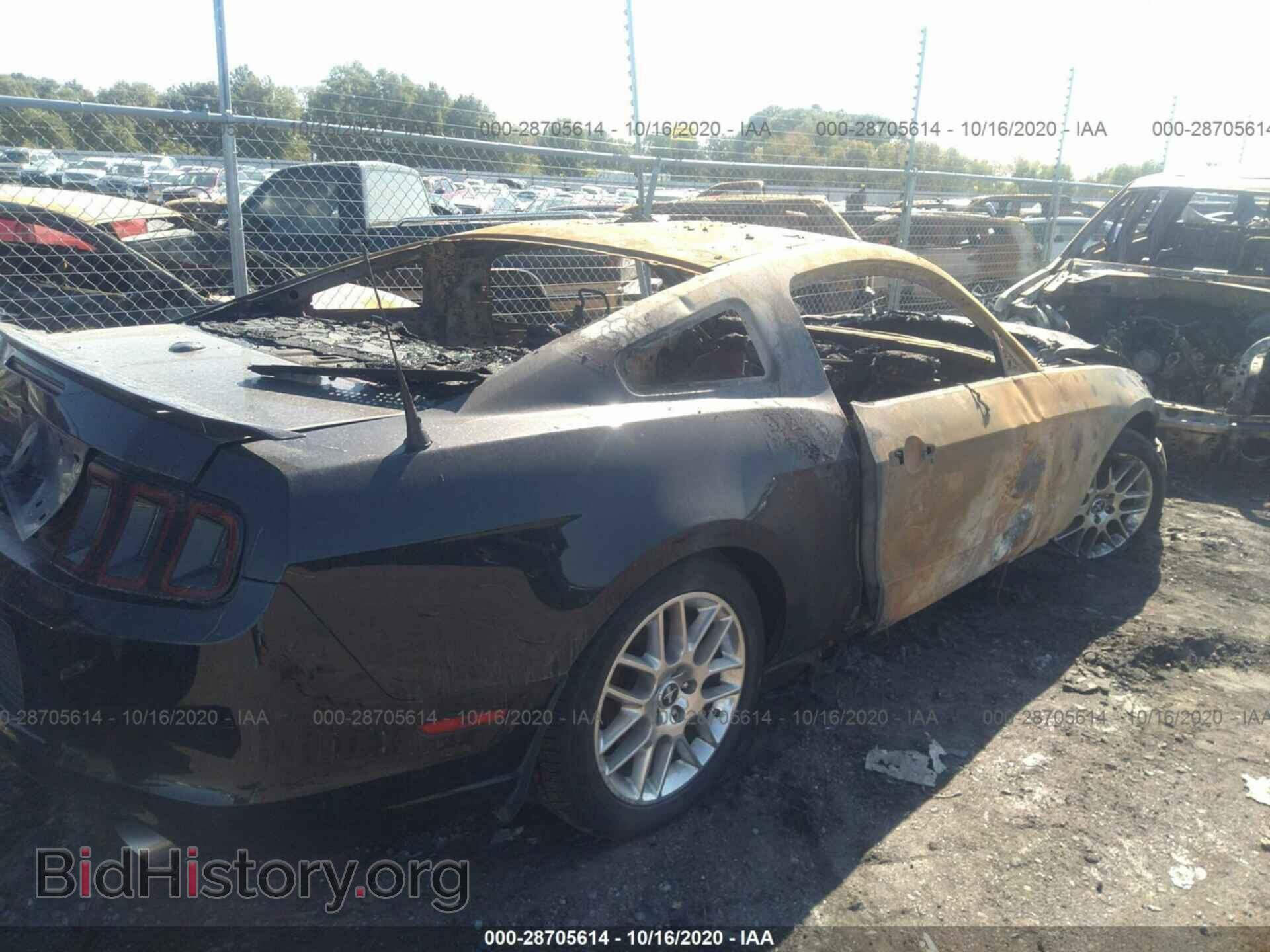 2014 FORD MUSTANG - VIN: 1ZVBP8AM5E5228281 - Фото 4