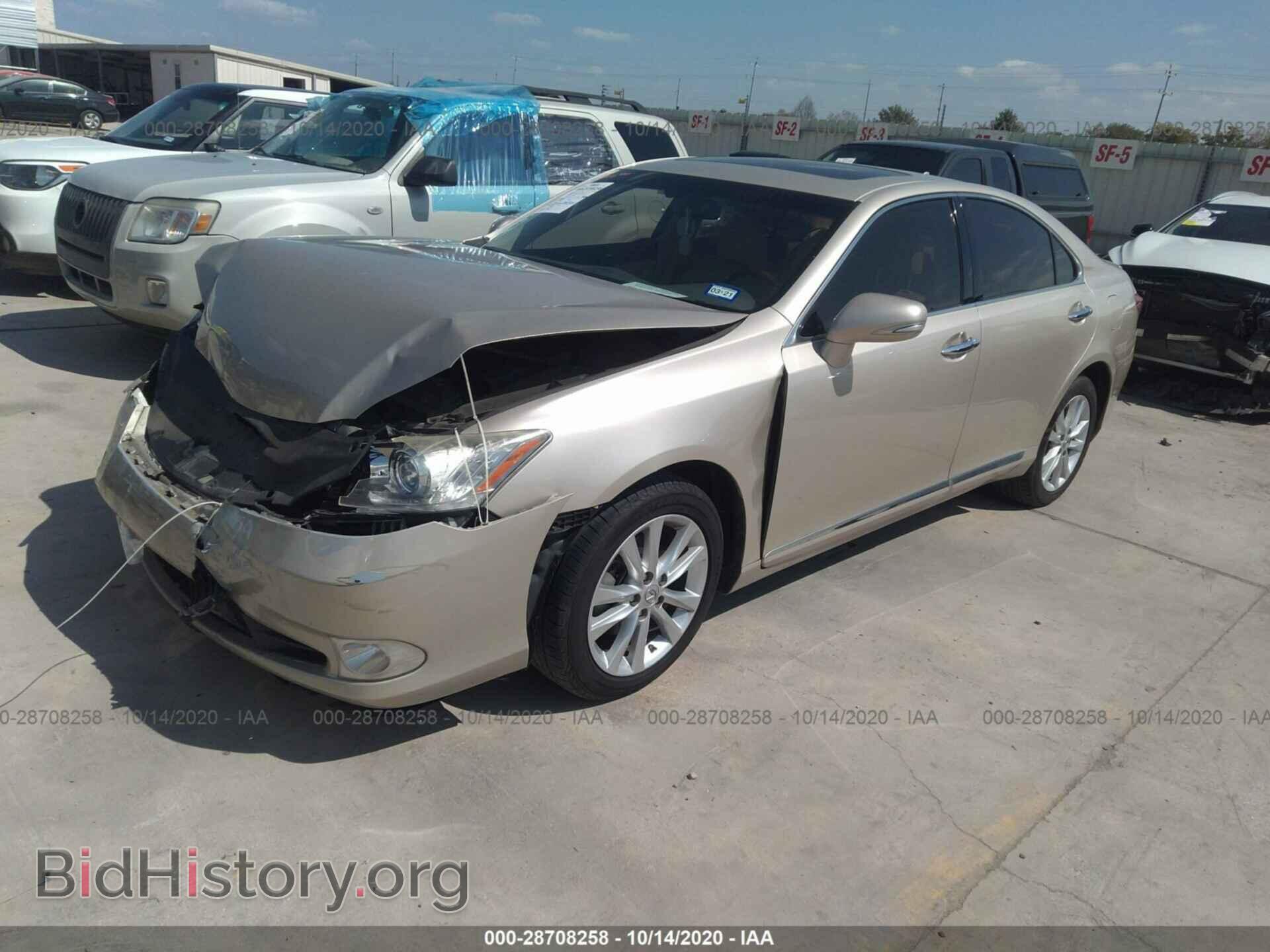 2011 LEXUS ES 350 - VIN: JTHBK1EG2B2465464 - Фото 2