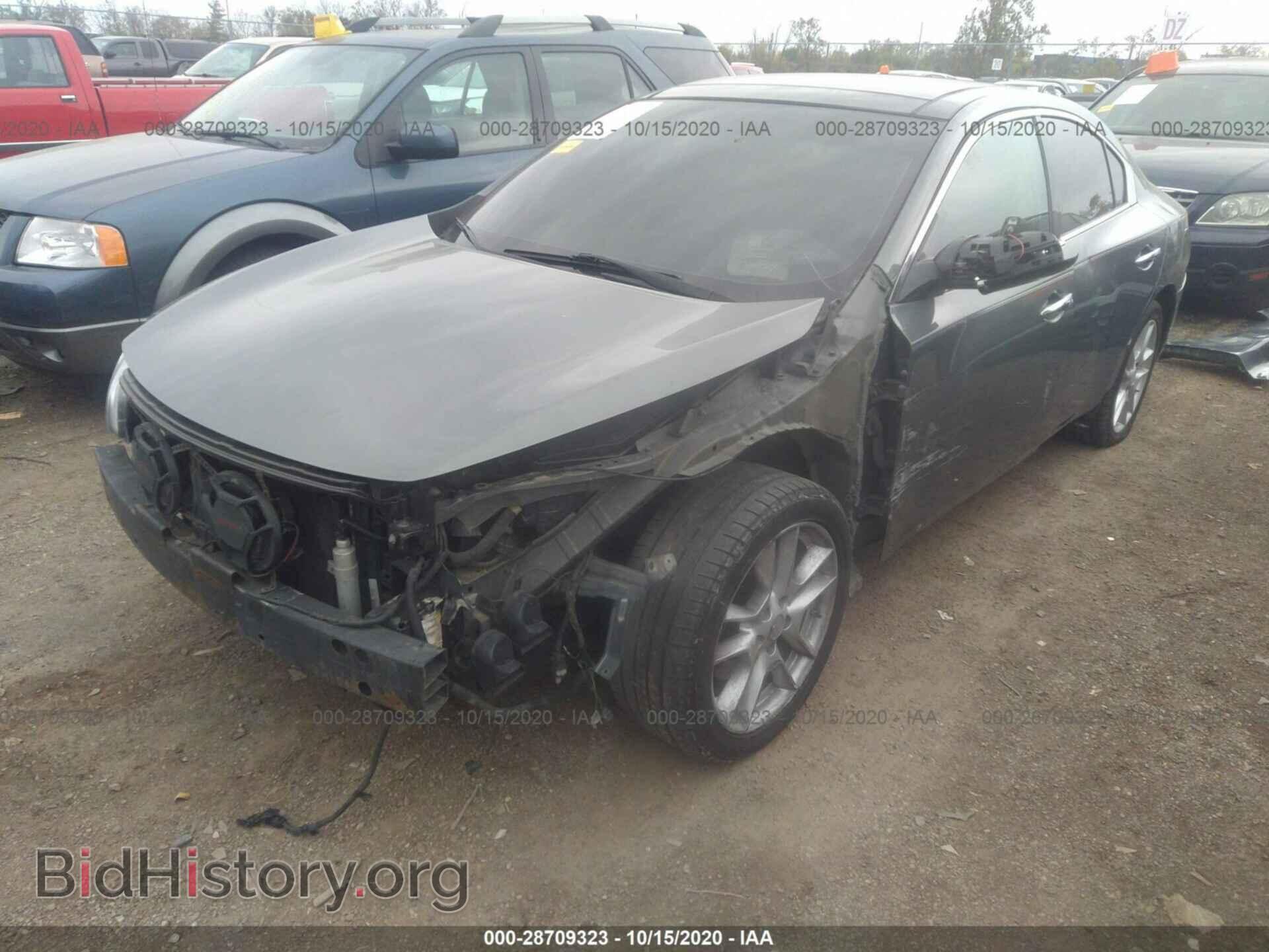 2011 NISSAN MAXIMA - VIN: 1N4AA5APXBC833029 - Фото 2