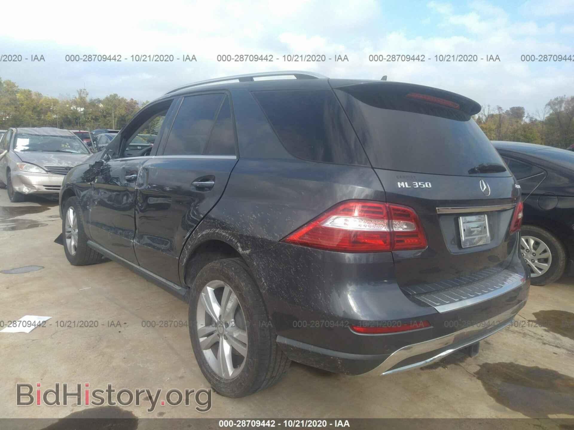 2013 MERCEDES-BENZ M-CLASS - VIN: 4JGDA5HB8DA244380 - Фото 3