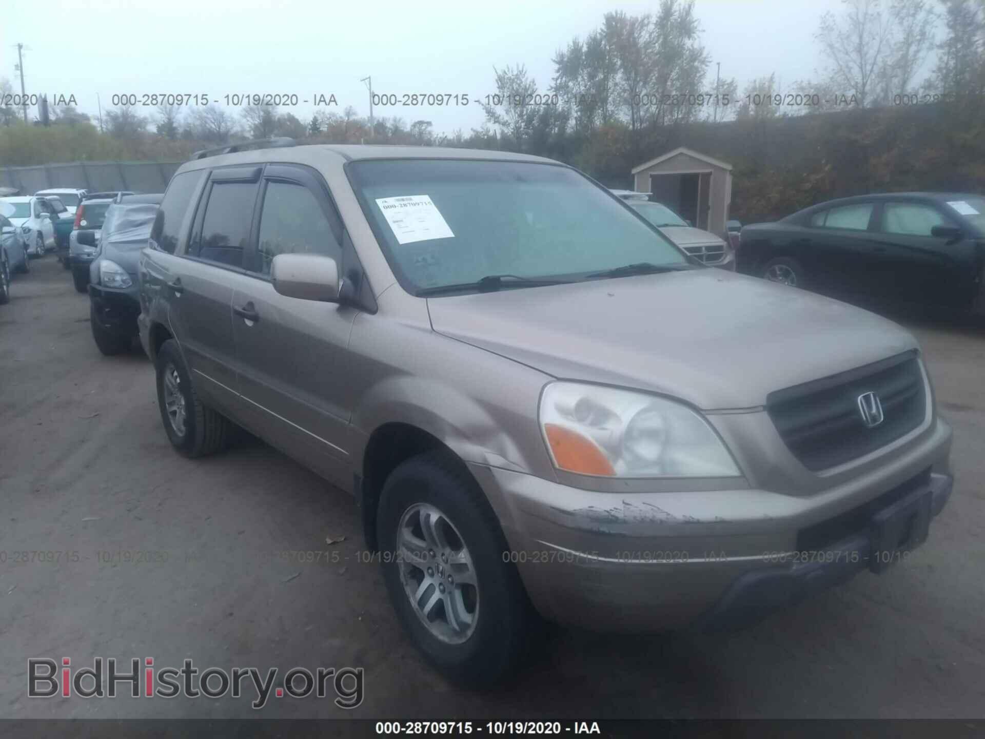 Фотография 5FNYF18525B051239 - HONDA PILOT 2005