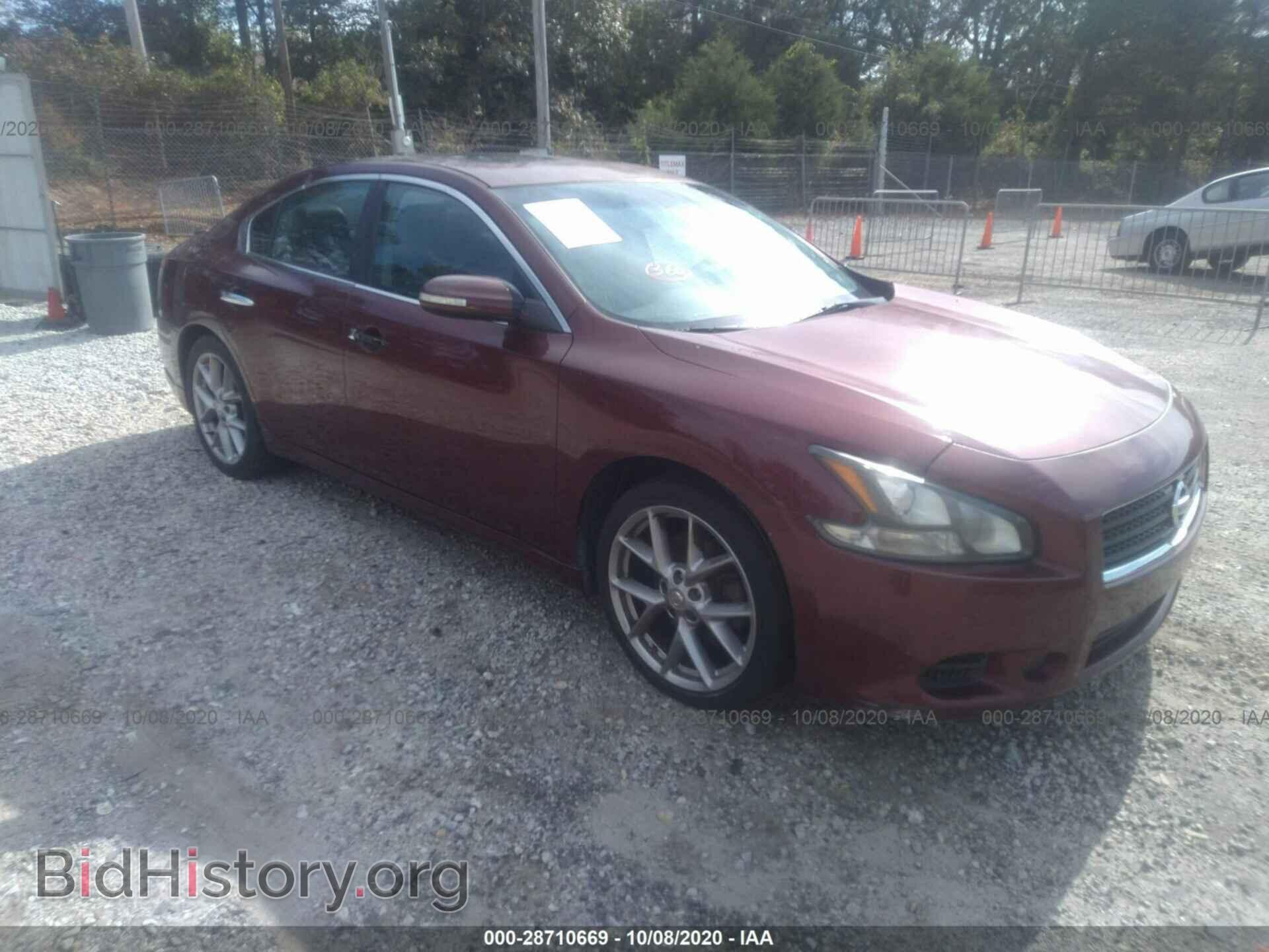 Фотография 1N4AA5AP2BC843036 - NISSAN MAXIMA 2011