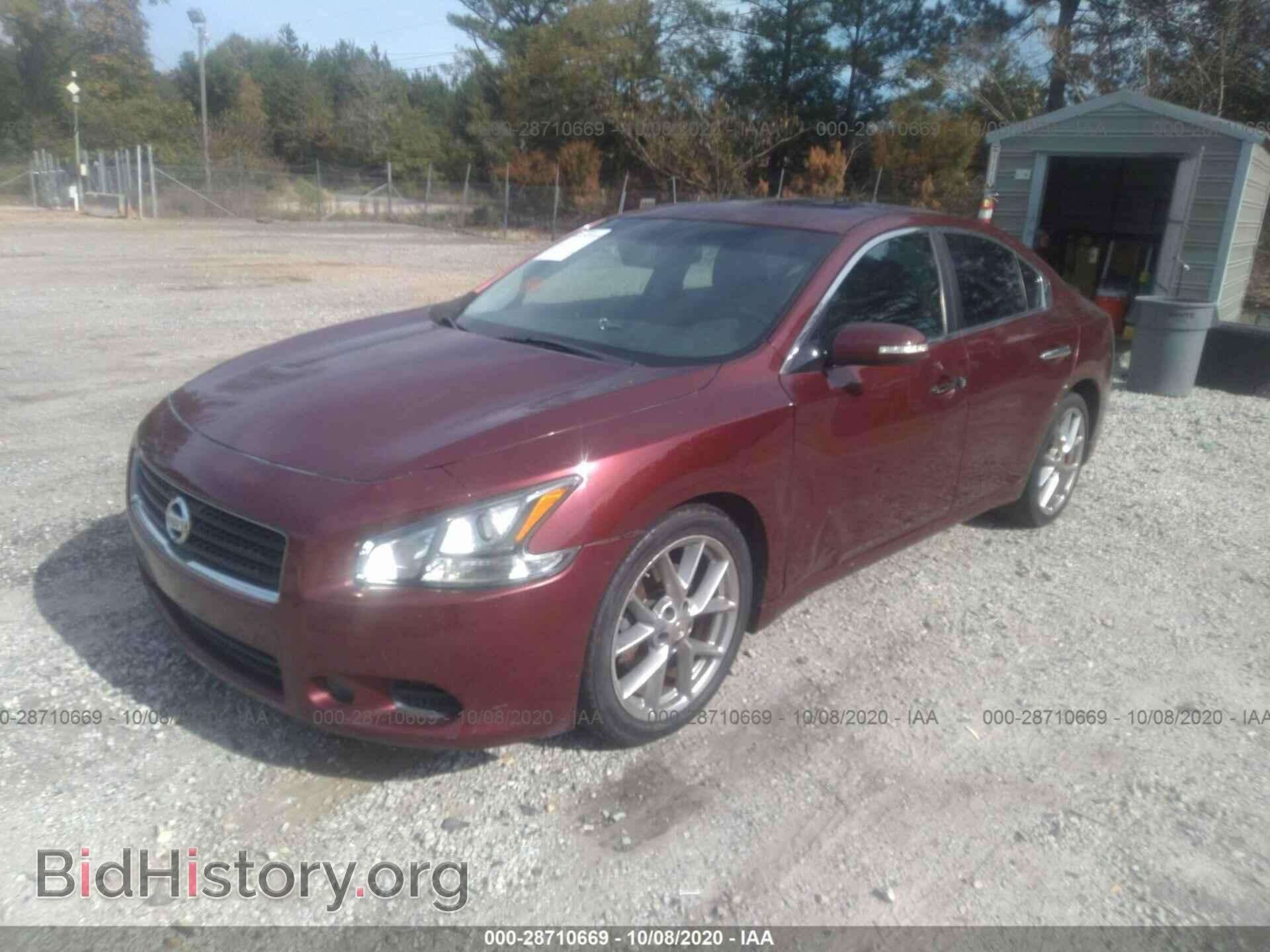 2011 NISSAN MAXIMA - VIN: 1N4AA5AP2BC843036 - Фото 2