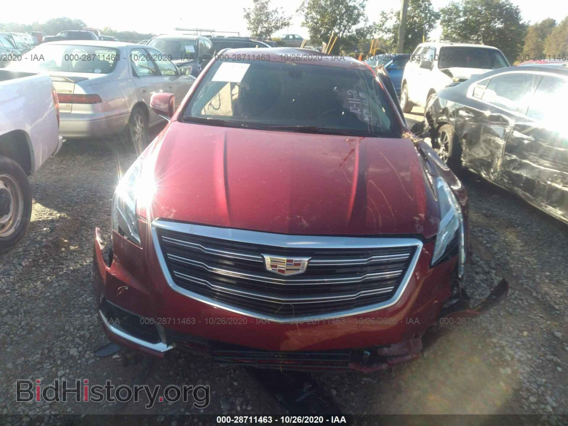 2019 CADILLAC XTS - VIN: 2G61M5S33K9121498 - Фото 6