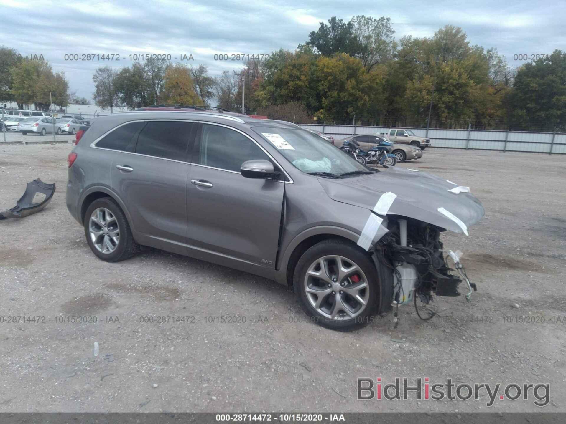 Photo 5XYPKDA57GG173612 - KIA SORENTO 2016