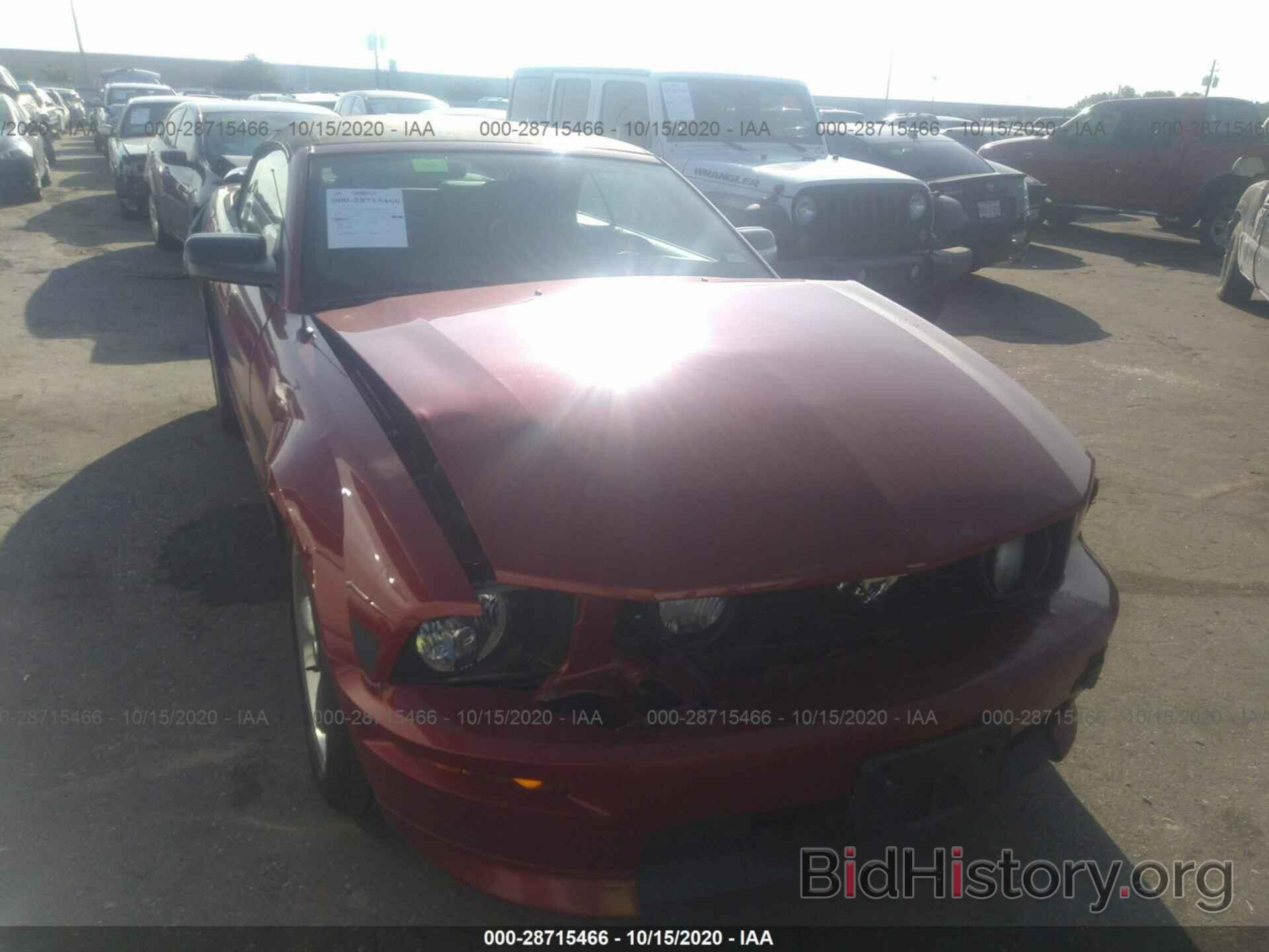 Photo 1ZVHT85H385161624 - FORD MUSTANG 2008