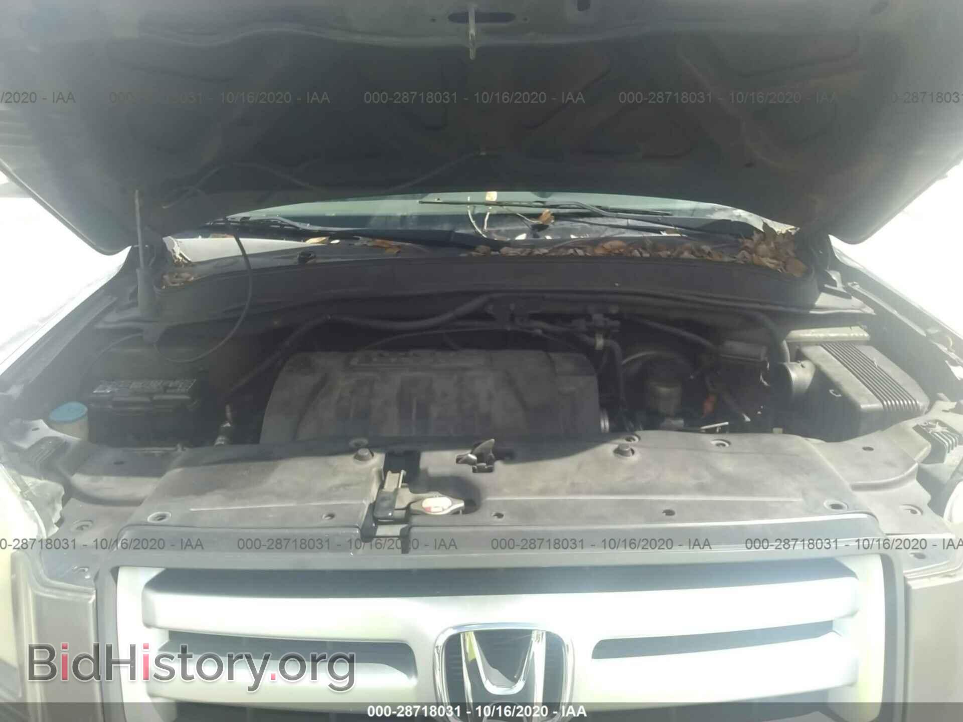 2006 HONDA PILOT - VIN: 5FNYF28666B034749 - Фото 10