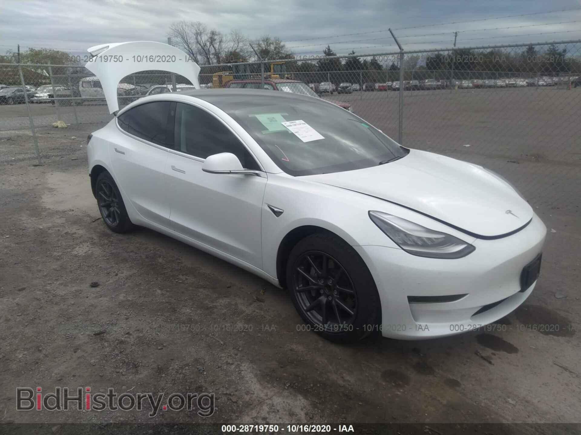 Photo 5YJ3E1EA2KF484439 - TESLA MODEL 3 2019