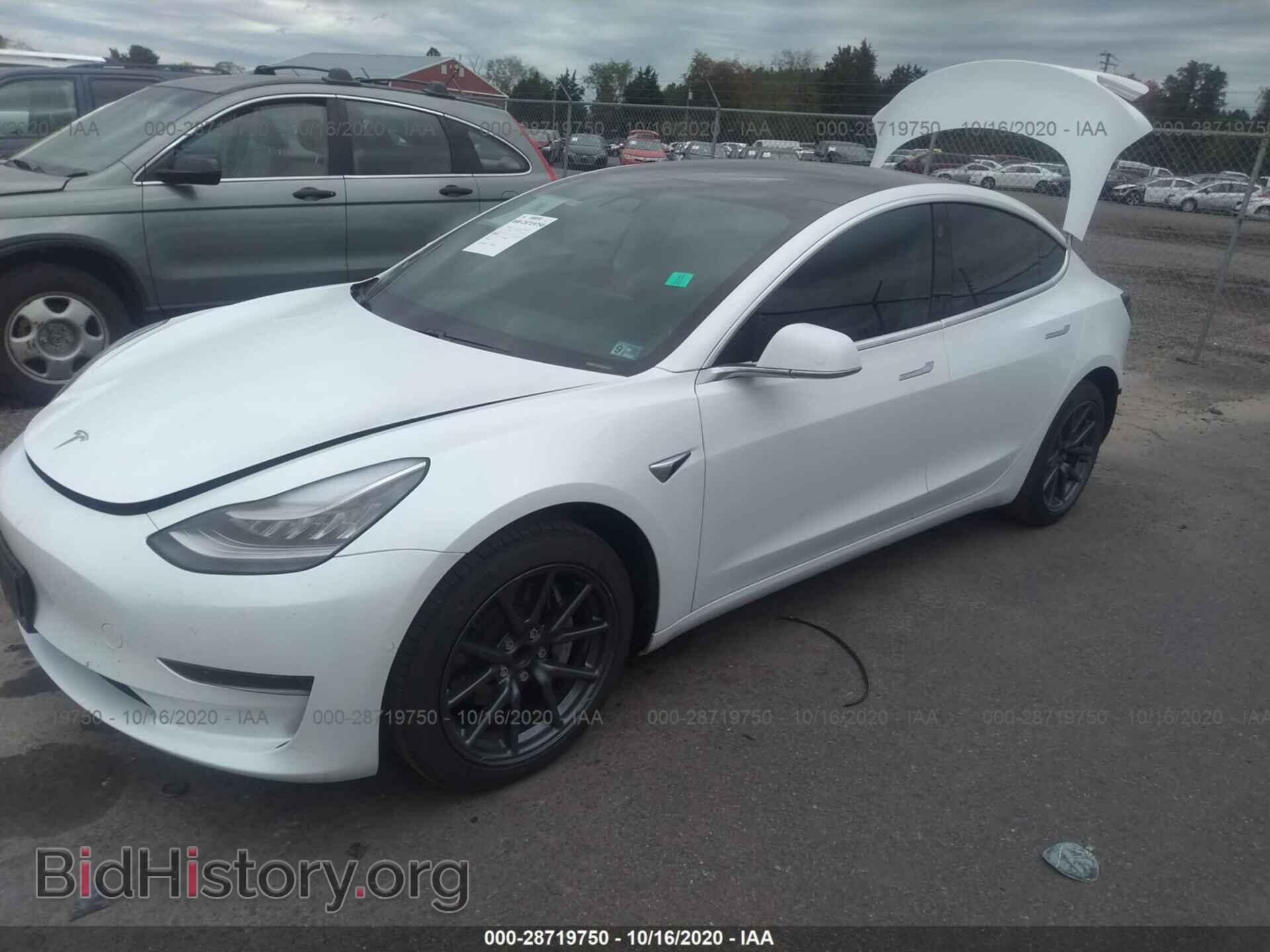 2019 TESLA MODEL 3 - VIN: 5YJ3E1EA2KF484439 - Фото 2
