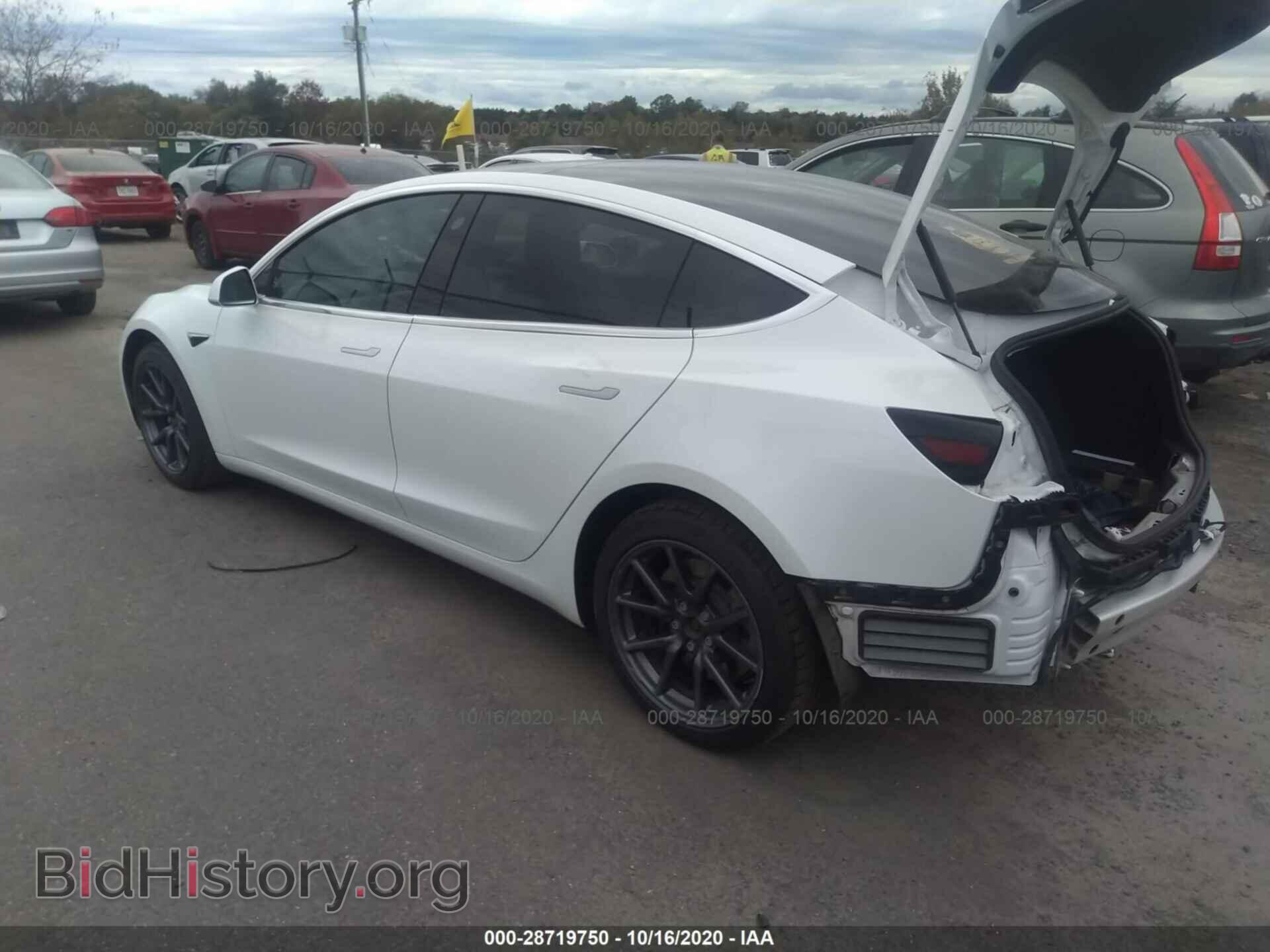 2019 TESLA MODEL 3 - VIN: 5YJ3E1EA2KF484439 - Фото 3
