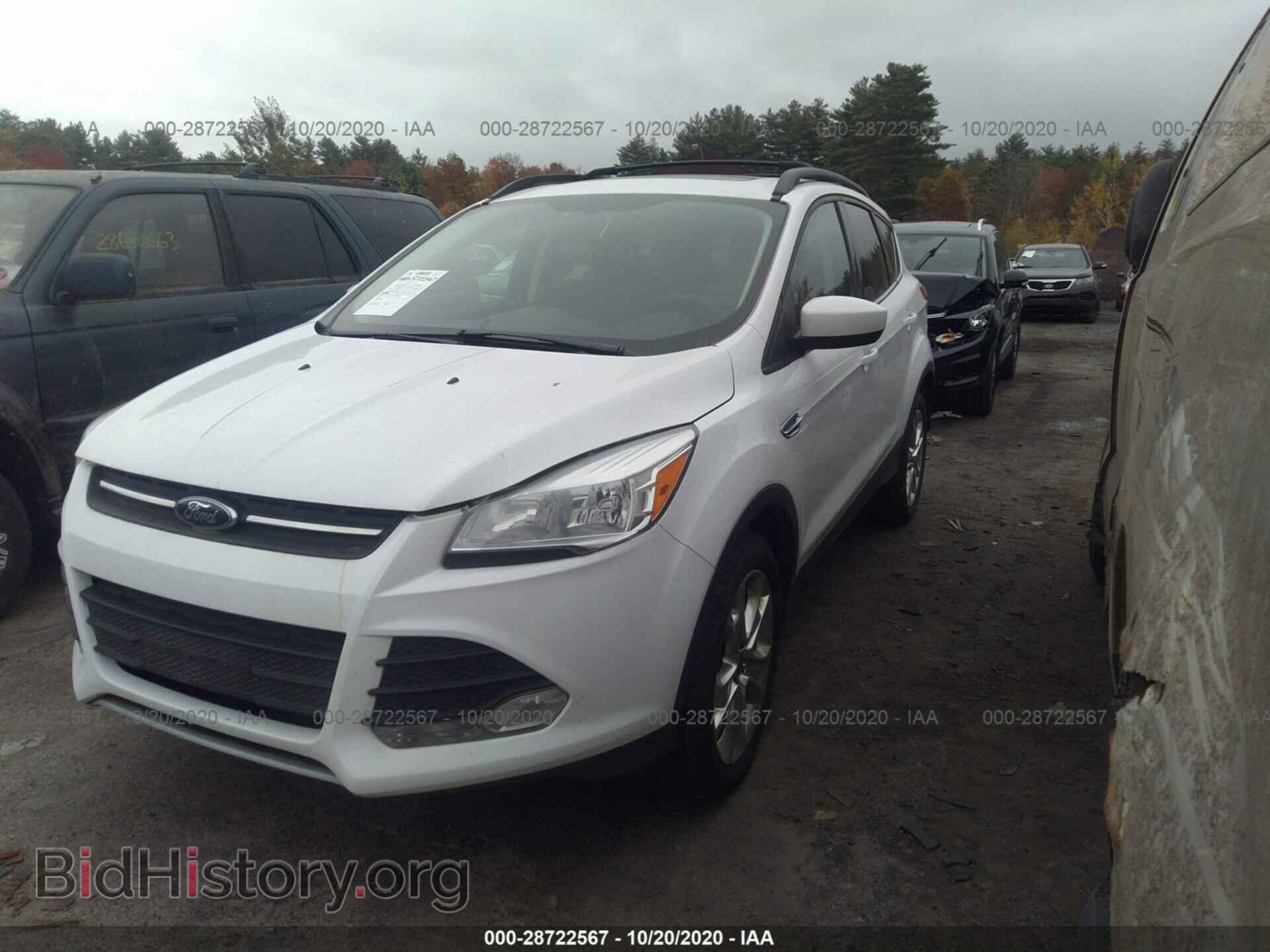 2013 FORD ESCAPE - VIN: 1FMCU9GX8DUD30195 - Фото 2