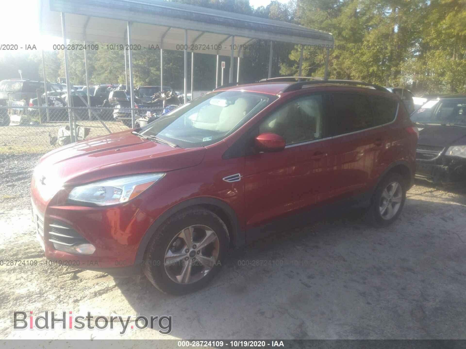 2014 FORD ESCAPE - VIN: 1FMCU0GX1EUD77839 - Фото 2