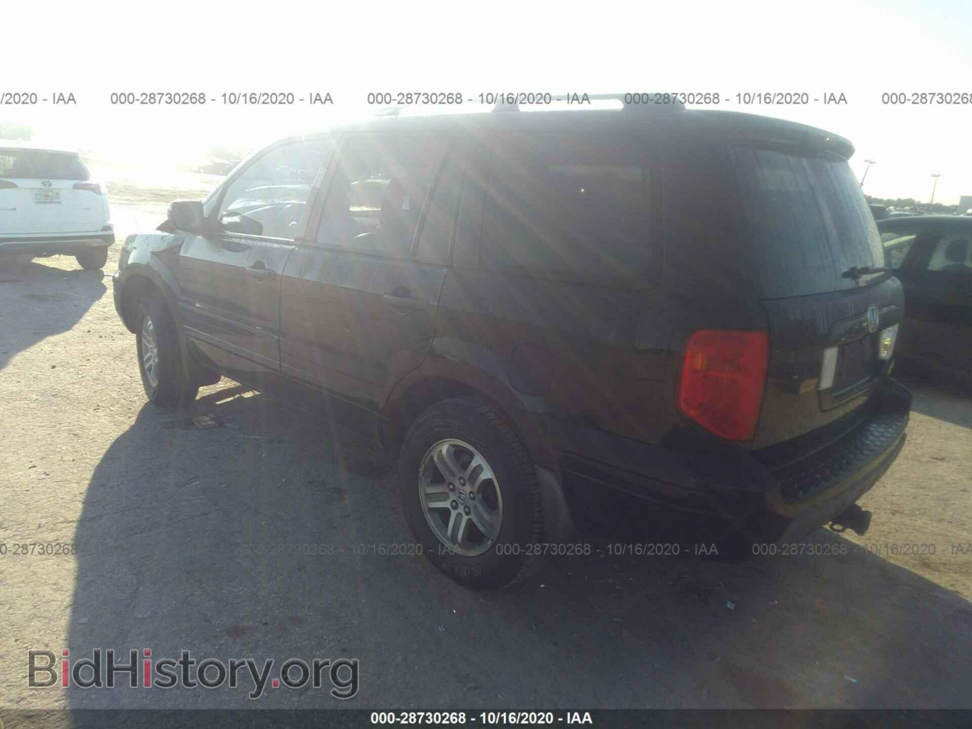 2005 HONDA PILOT - VIN: 5FNYF18585B033554 - Фото 3