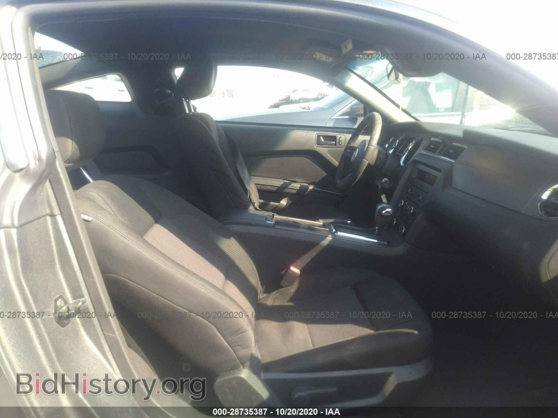 2010 FORD MUSTANG - VIN: 1ZVBP8AN6A5135109 - Фото 5