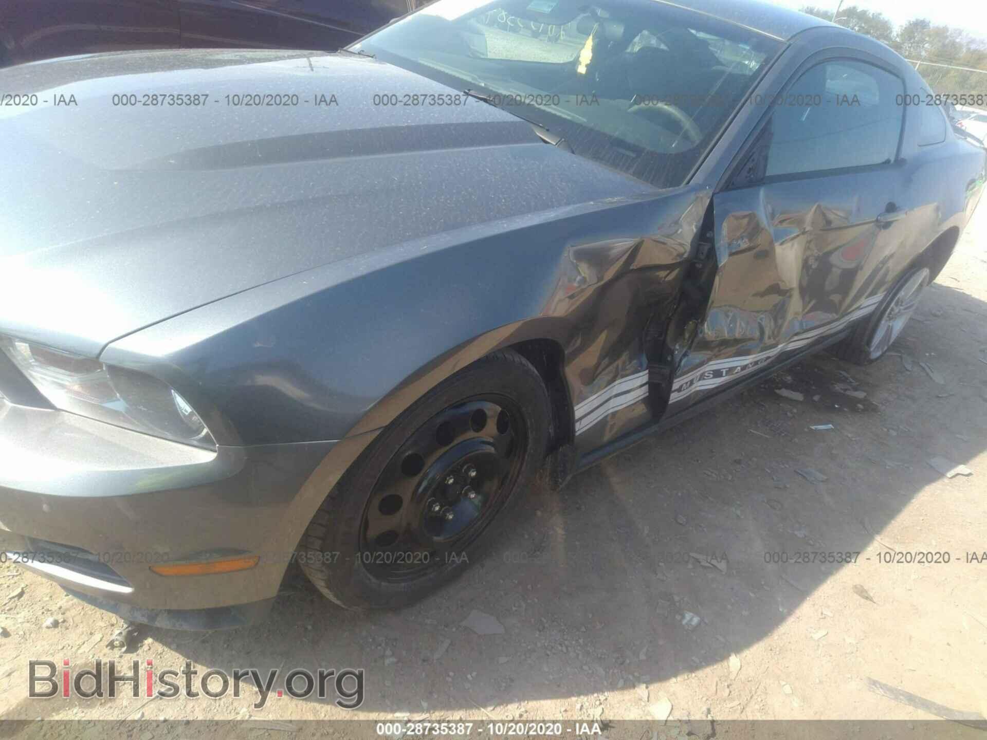 2010 FORD MUSTANG - VIN: 1ZVBP8AN6A5135109 - Фото 6