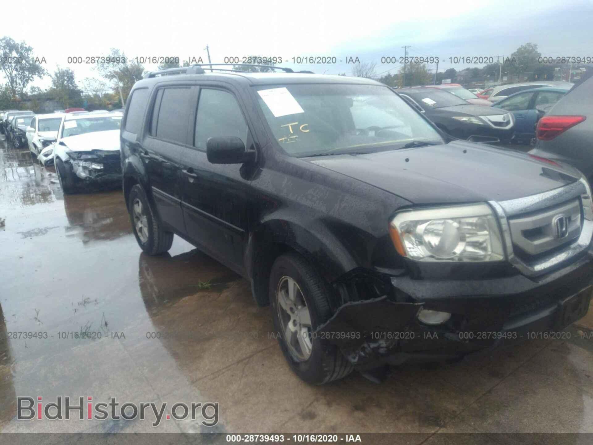 Фотография 5FNYF4H62BB046628 - HONDA PILOT 2011
