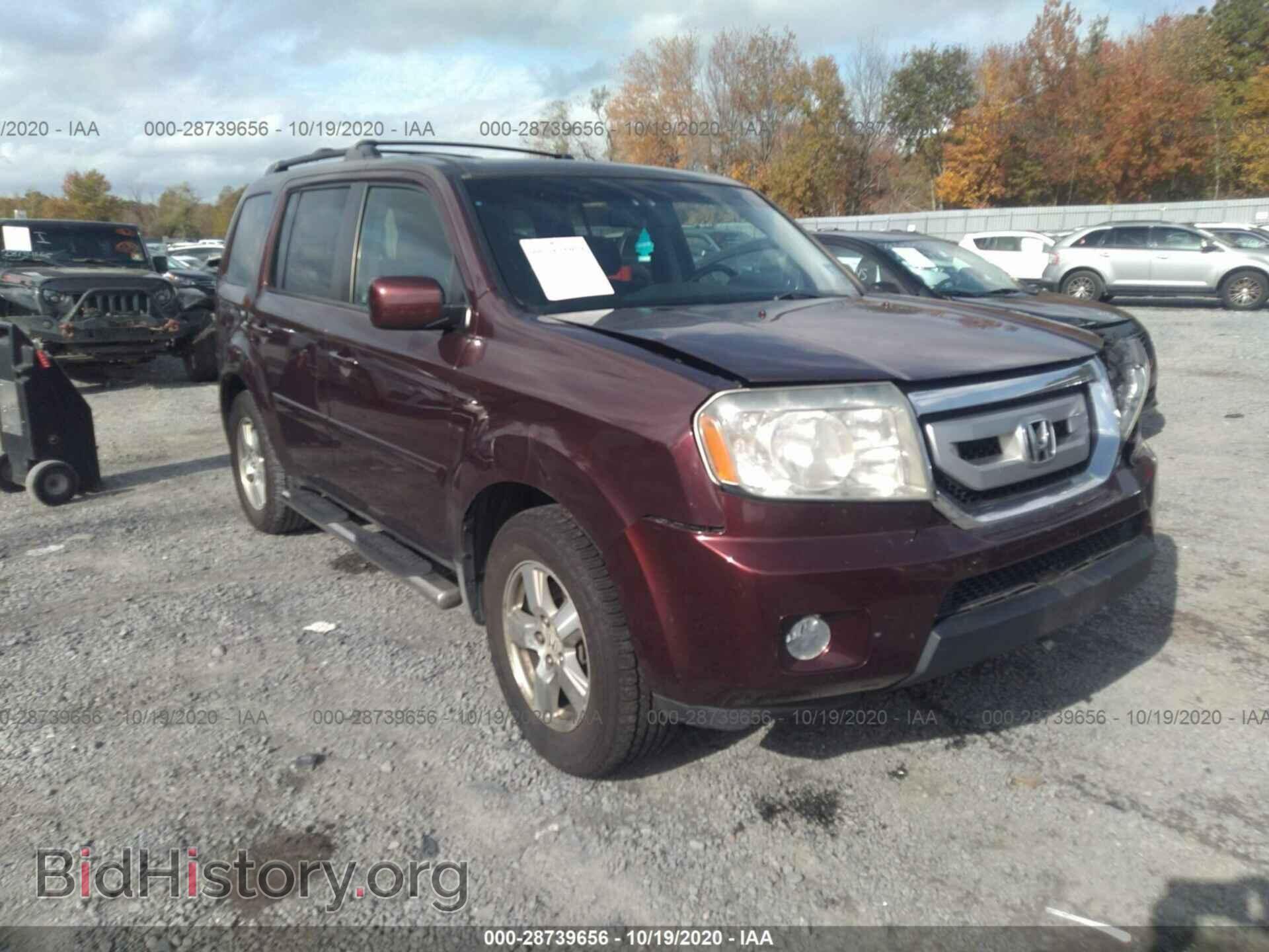 Фотография 5FNYF48589B048725 - HONDA PILOT 2009