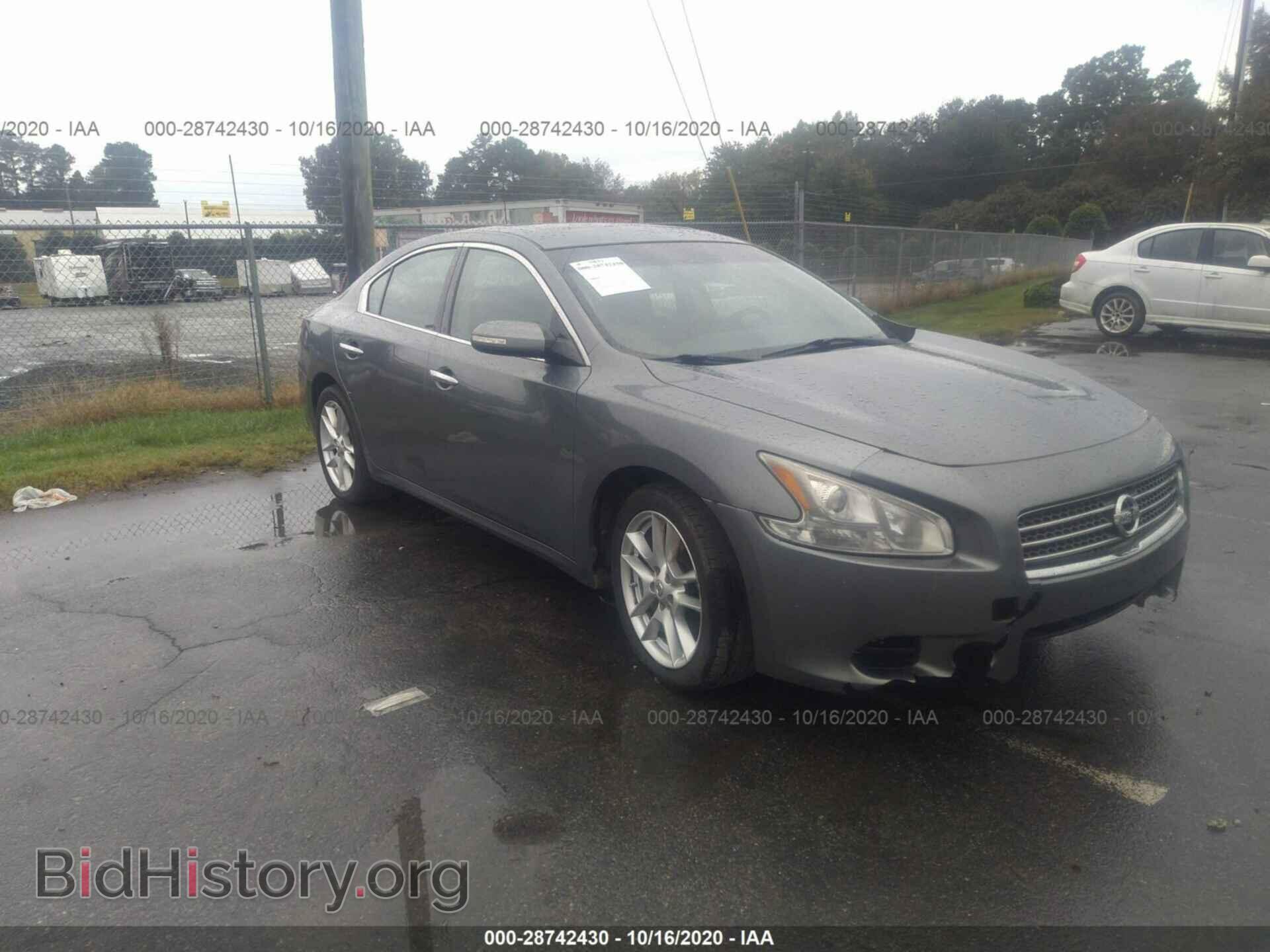Фотография 1N4AA5AP2BC866087 - NISSAN MAXIMA 2011