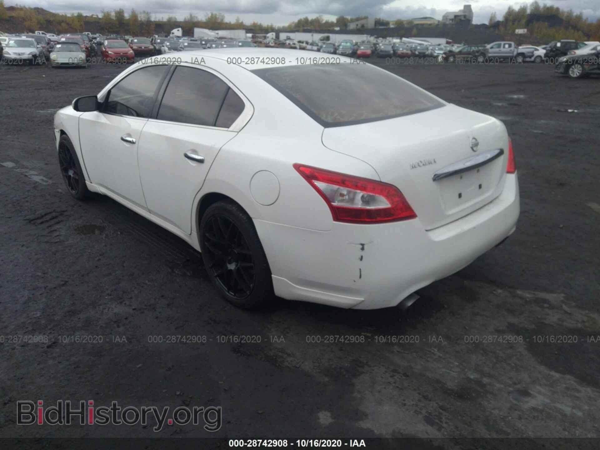 2009 NISSAN MAXIMA - VIN: 1N4AA51E09C830598 - Фото 3