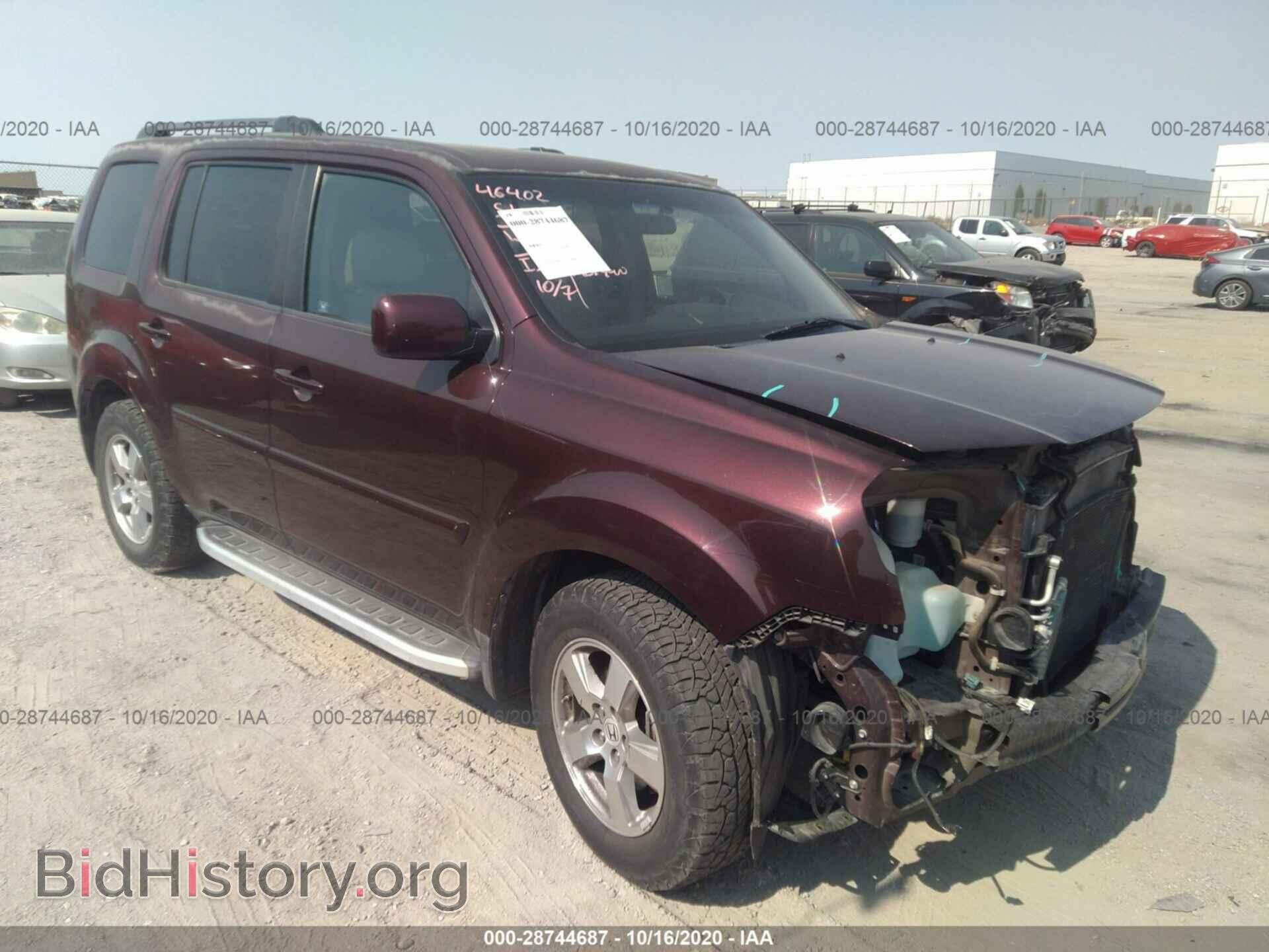 Фотография 5FNYF3H43BB012870 - HONDA PILOT 2011