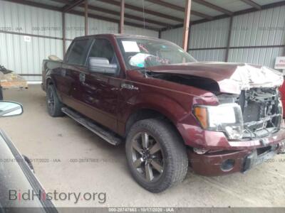 2009 Ford F-150 XL/XLT, темно-бордовый — VIN 1FTRW12859FB06078, IAAI