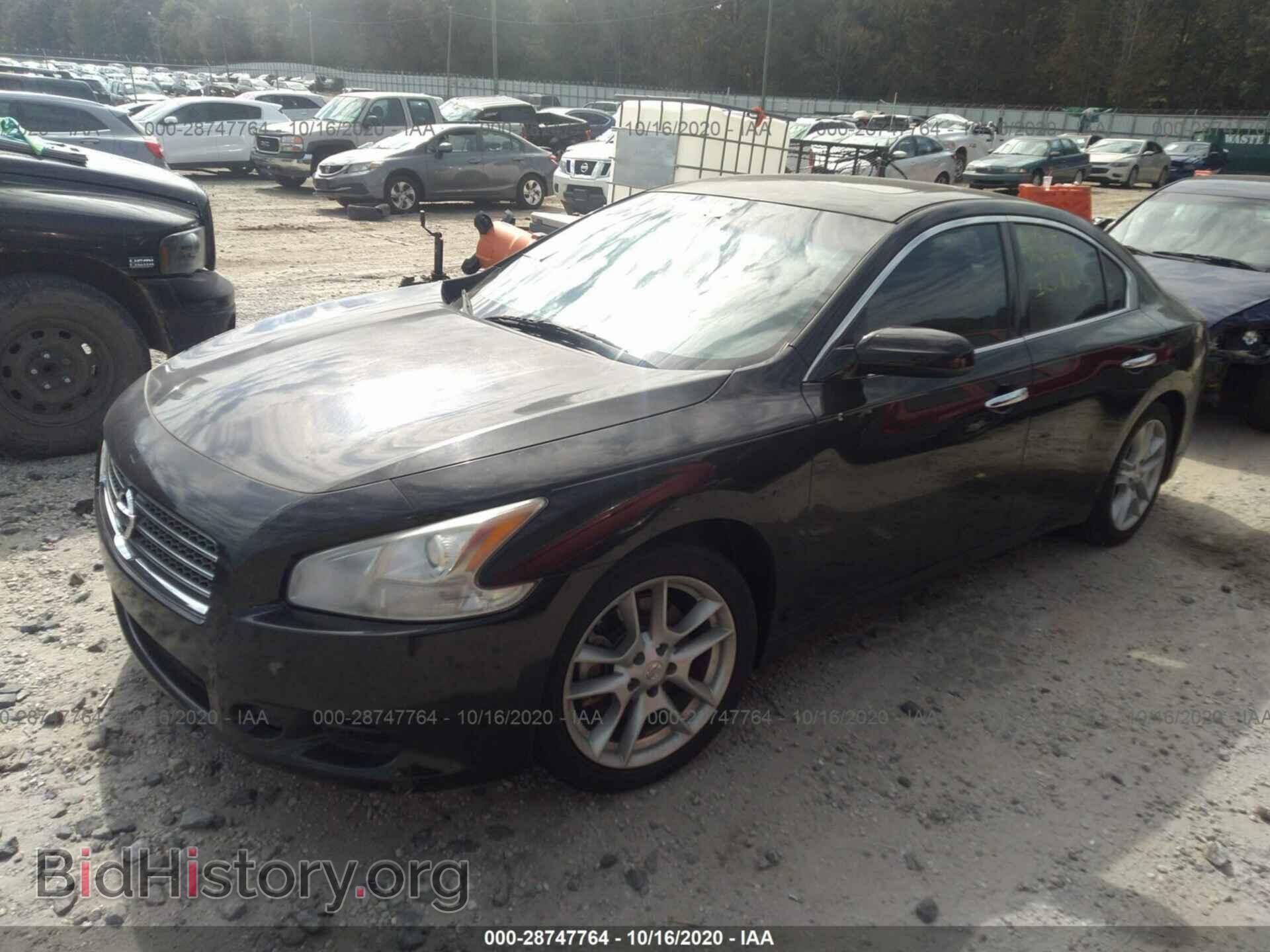 2010 NISSAN MAXIMA - VIN: 1N4AA5AP6AC830787 - Фото 2