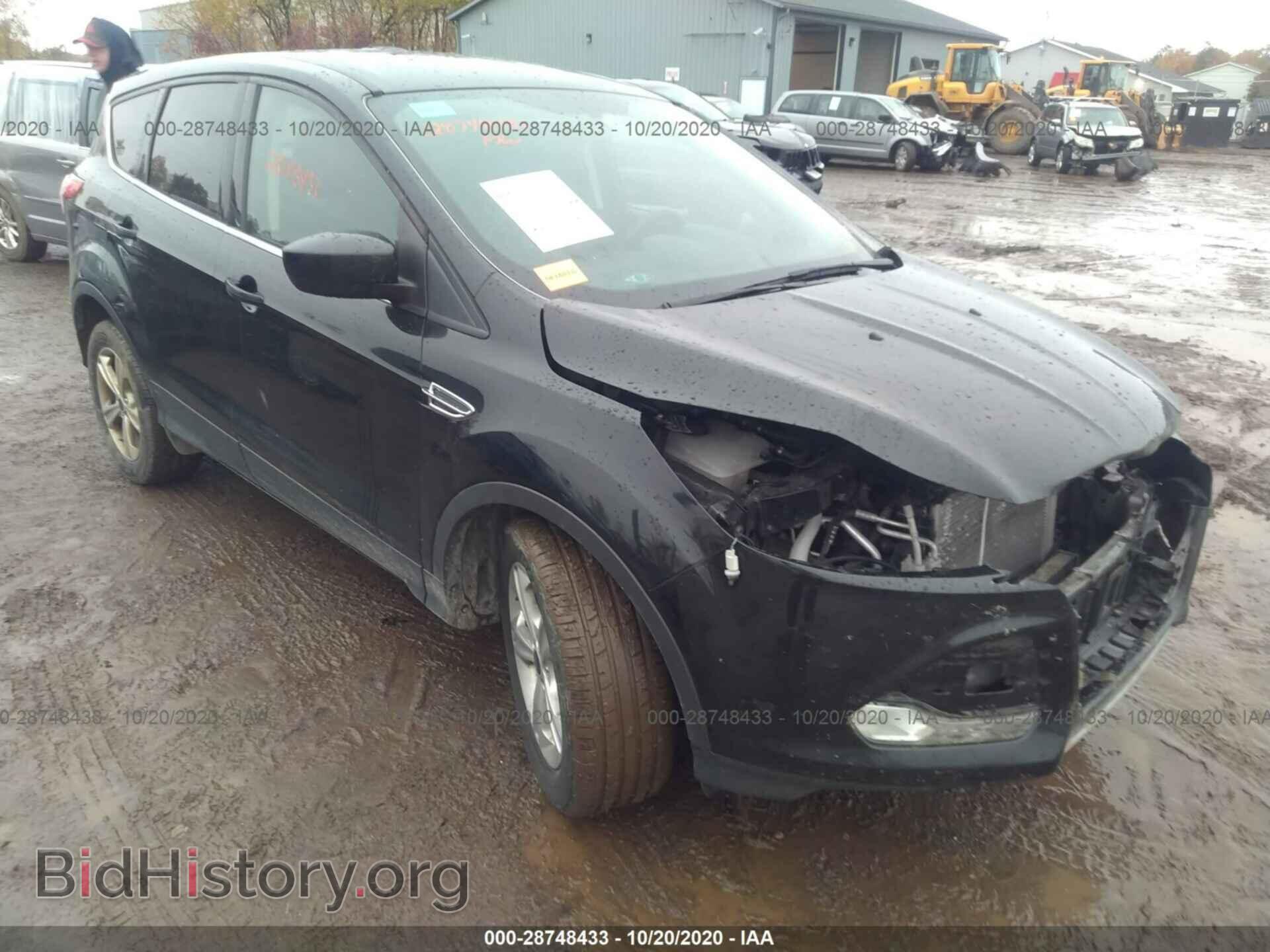 Фотография 1FMCU0GX4EUC82529 - FORD ESCAPE 2014