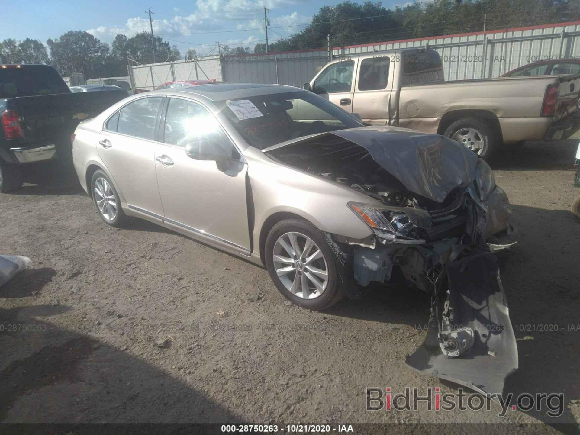 Photo JTHBK1EG8A2390185 - LEXUS ES 350 2010