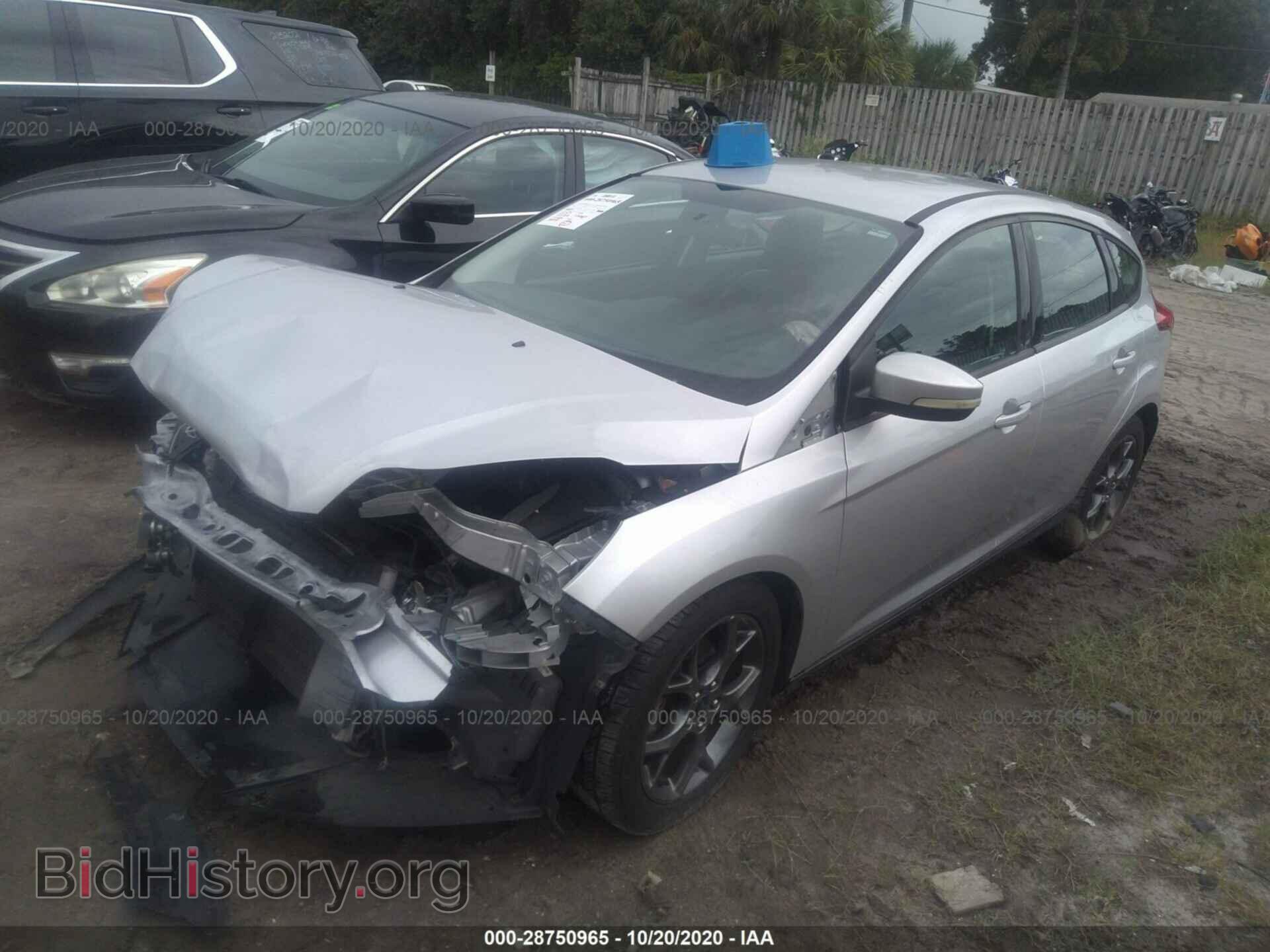 2013 FORD FOCUS - VIN: 1FADP3K2XDL298385 - Фото 2