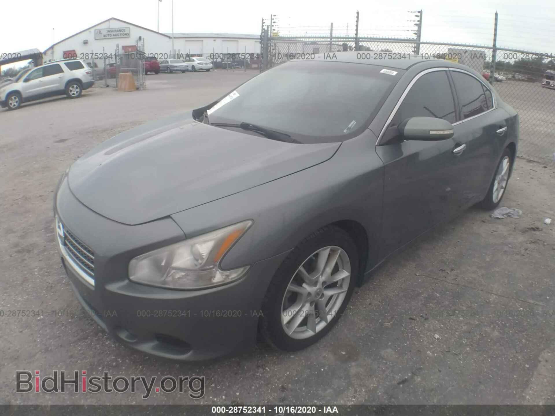 2010 NISSAN MAXIMA - VIN: 1N4AA5AP1AC830924 - Фото 2