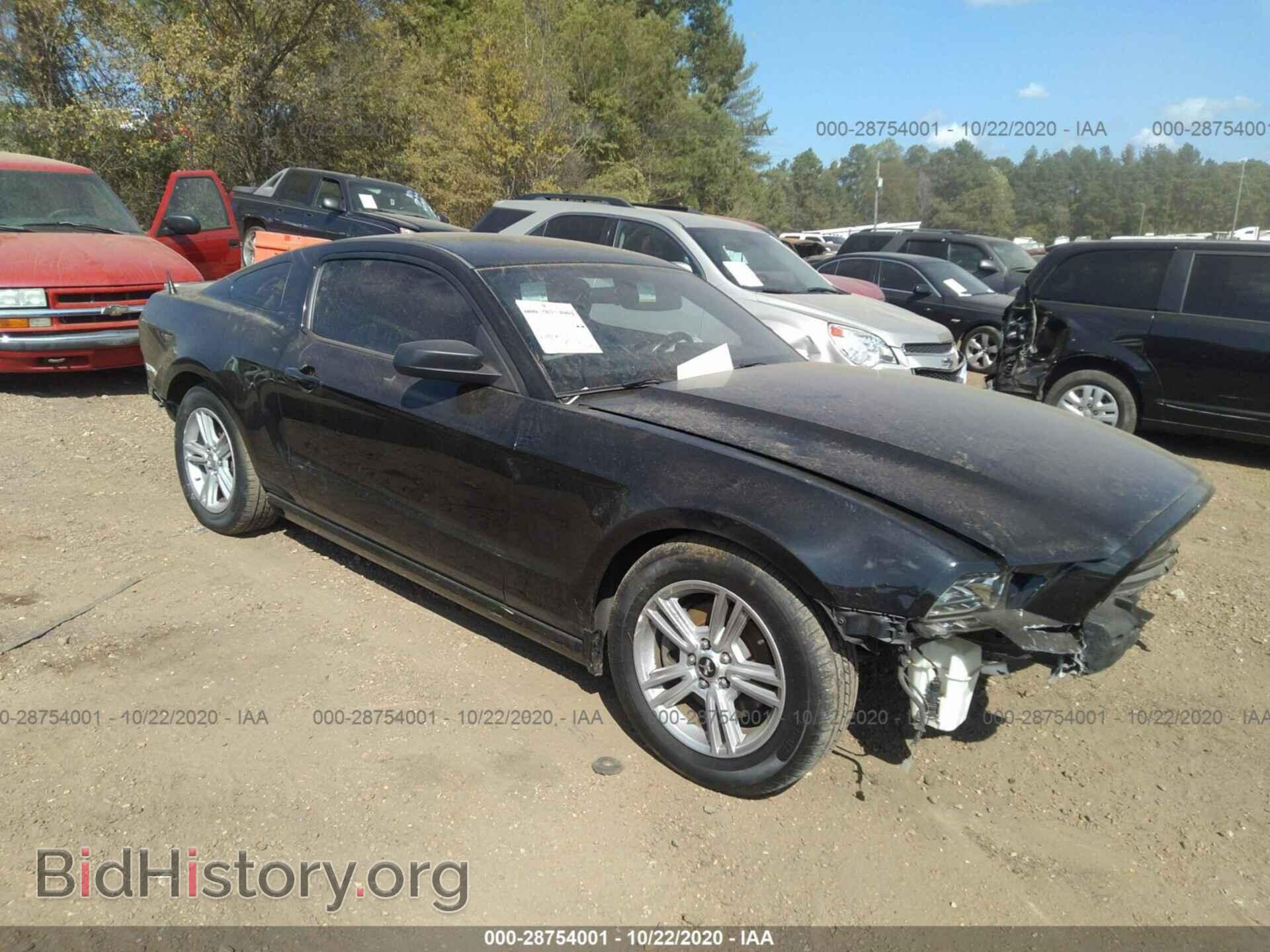 Фотография 1ZVBP8AM3D5281382 - FORD MUSTANG 2013