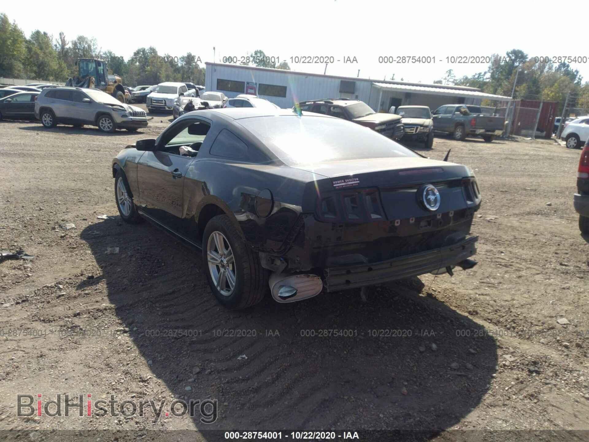 2013 FORD MUSTANG - VIN: 1ZVBP8AM3D5281382 - Фото 3