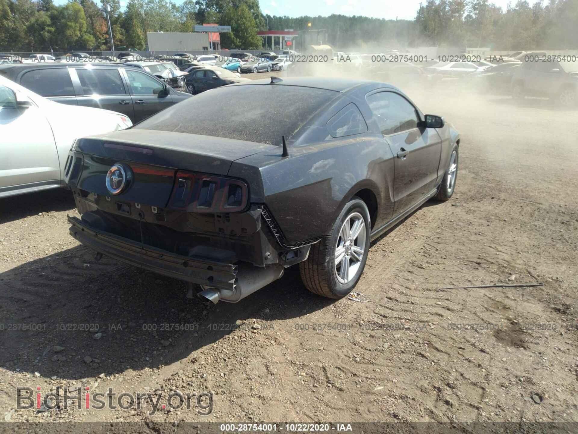 2013 FORD MUSTANG - VIN: 1ZVBP8AM3D5281382 - Фото 4